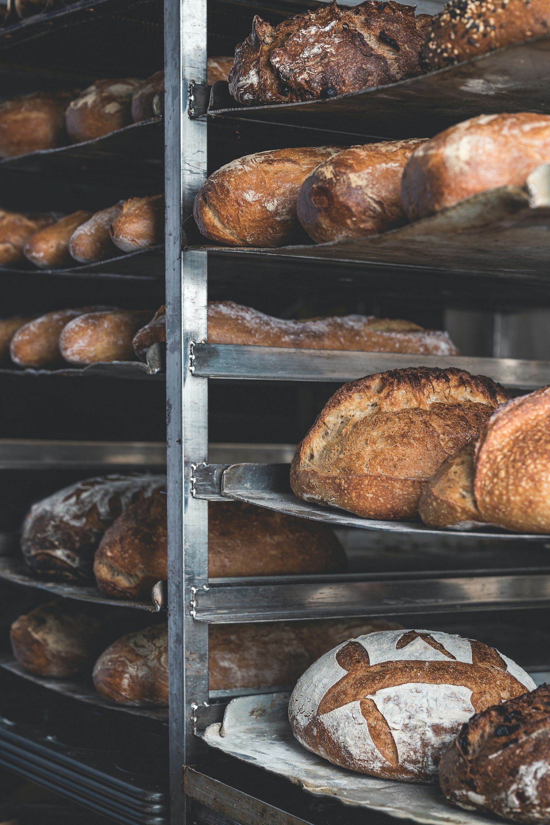Rack of fresh-baked sourdough loaves cooling on bakery shelves