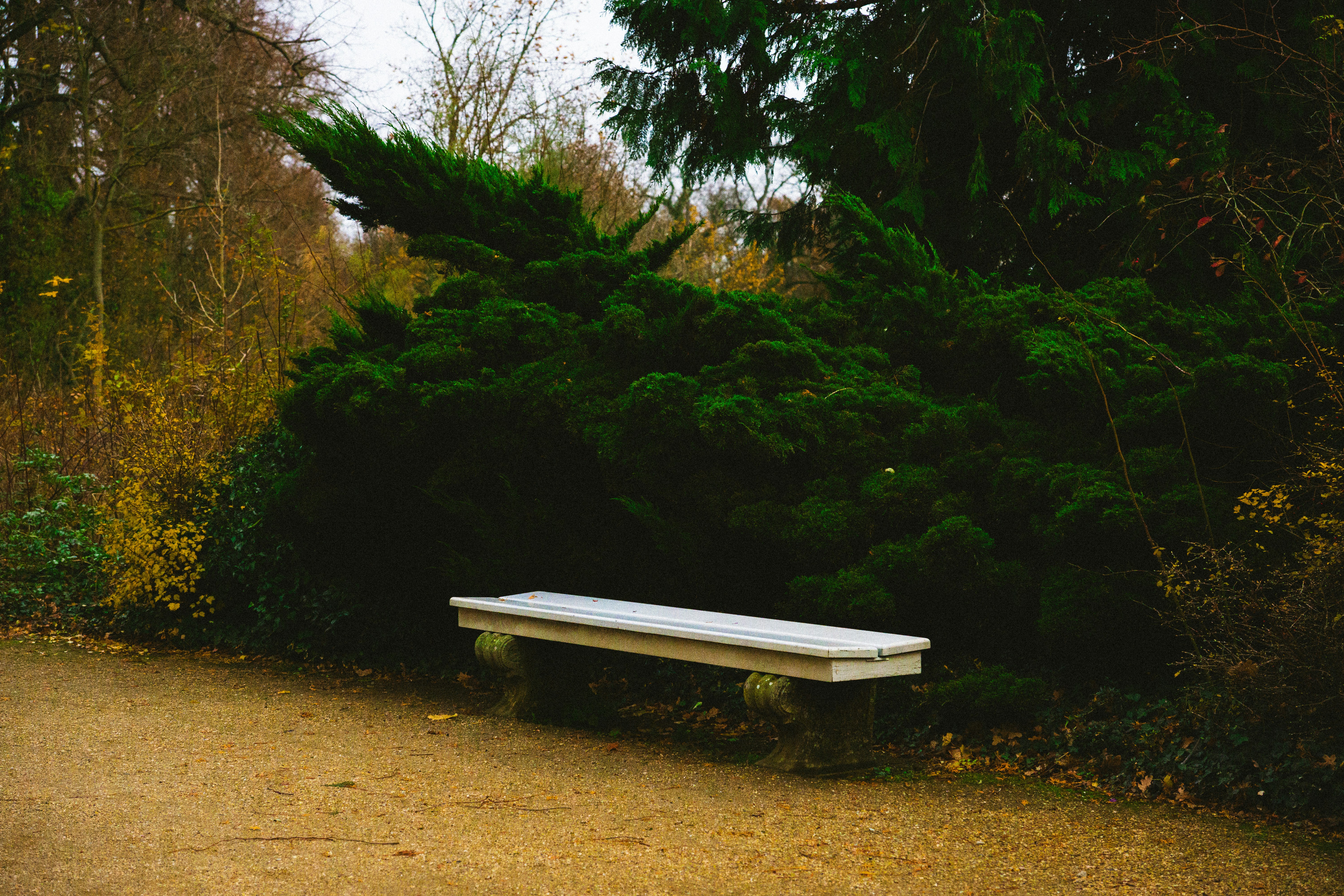 Sanssouci Park photo 3