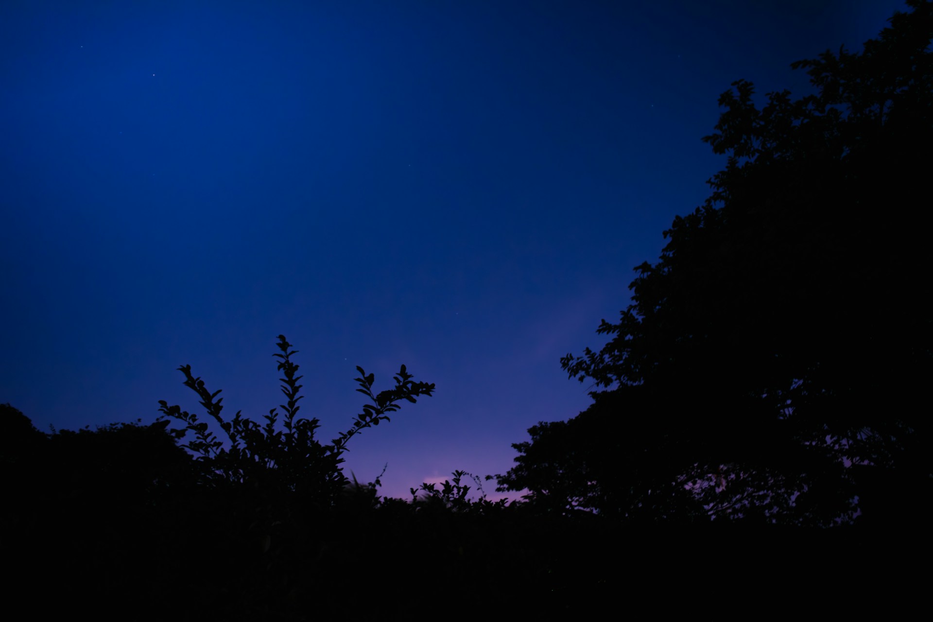 A full moon is seen in the sky above some trees