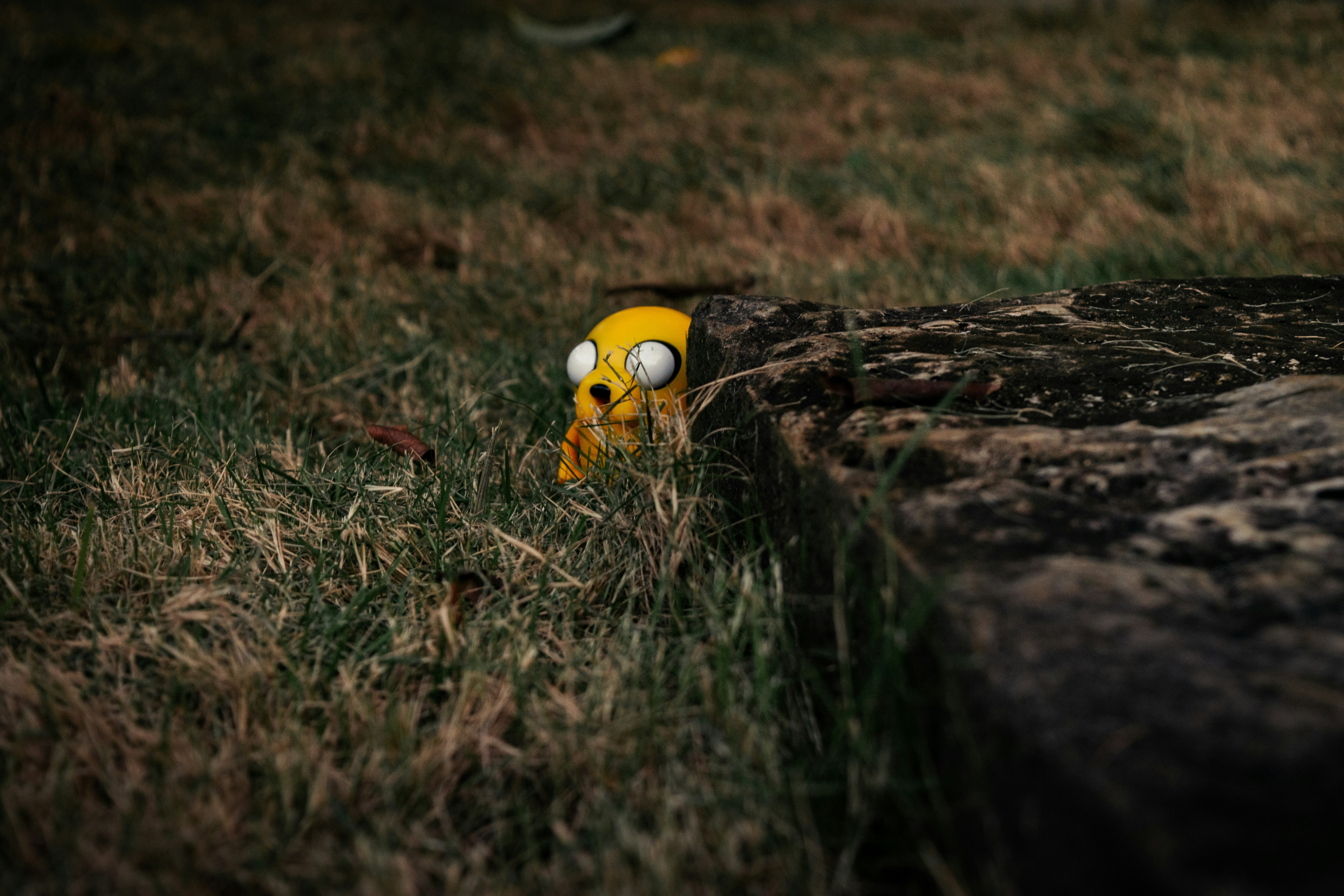A yellow toy sitting on top of a lush green field