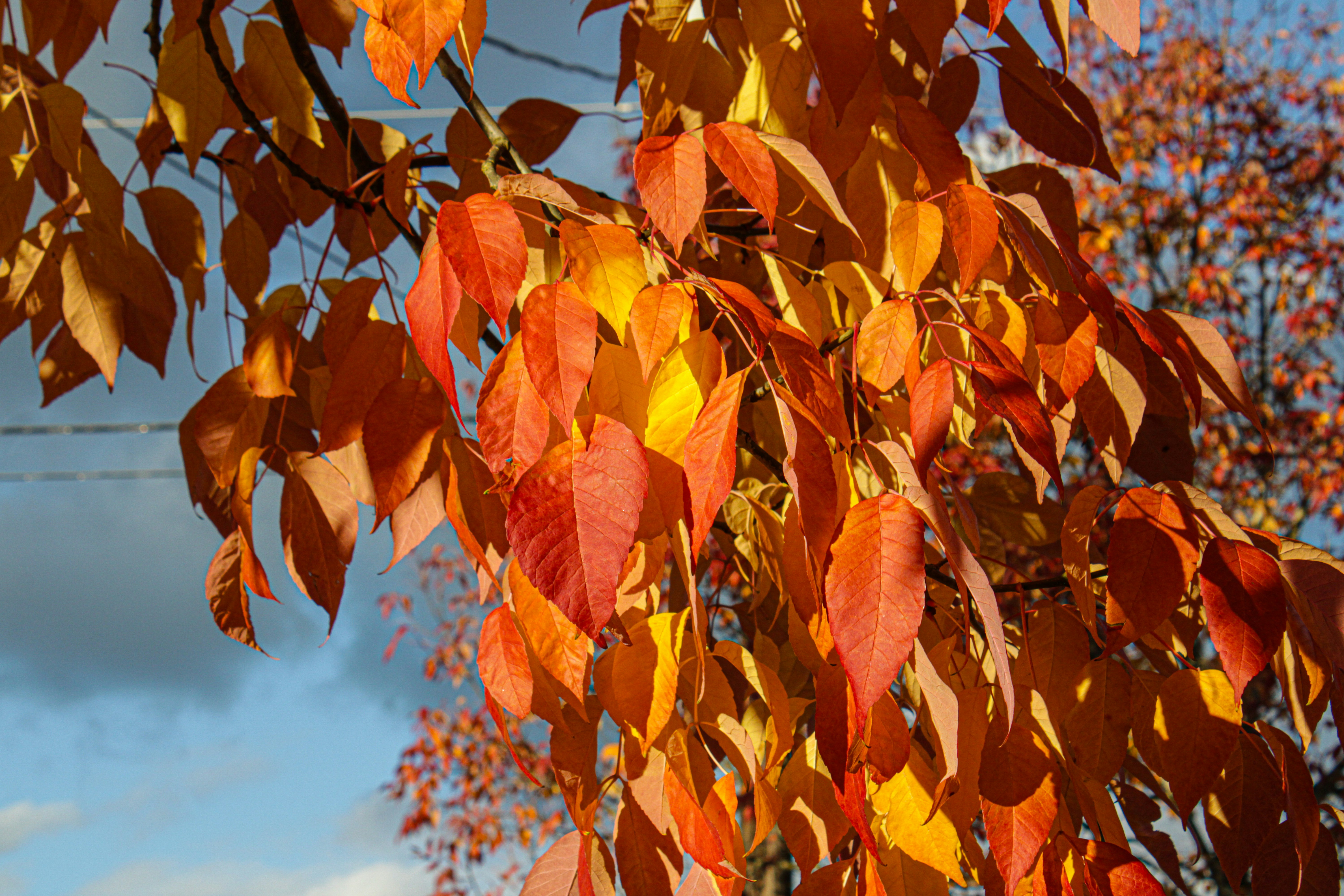 Photo by prphotography262