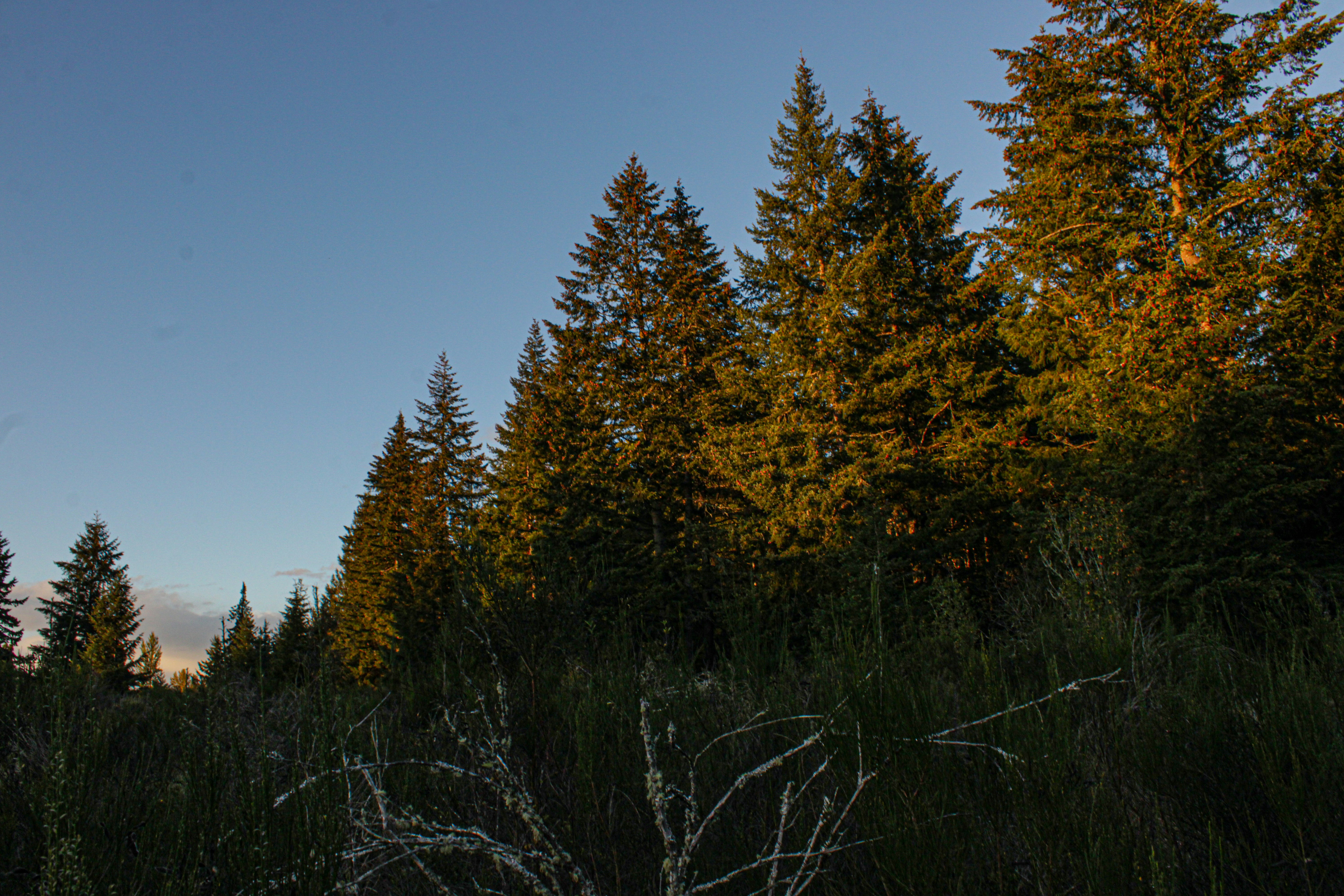 Photo by prphotography262