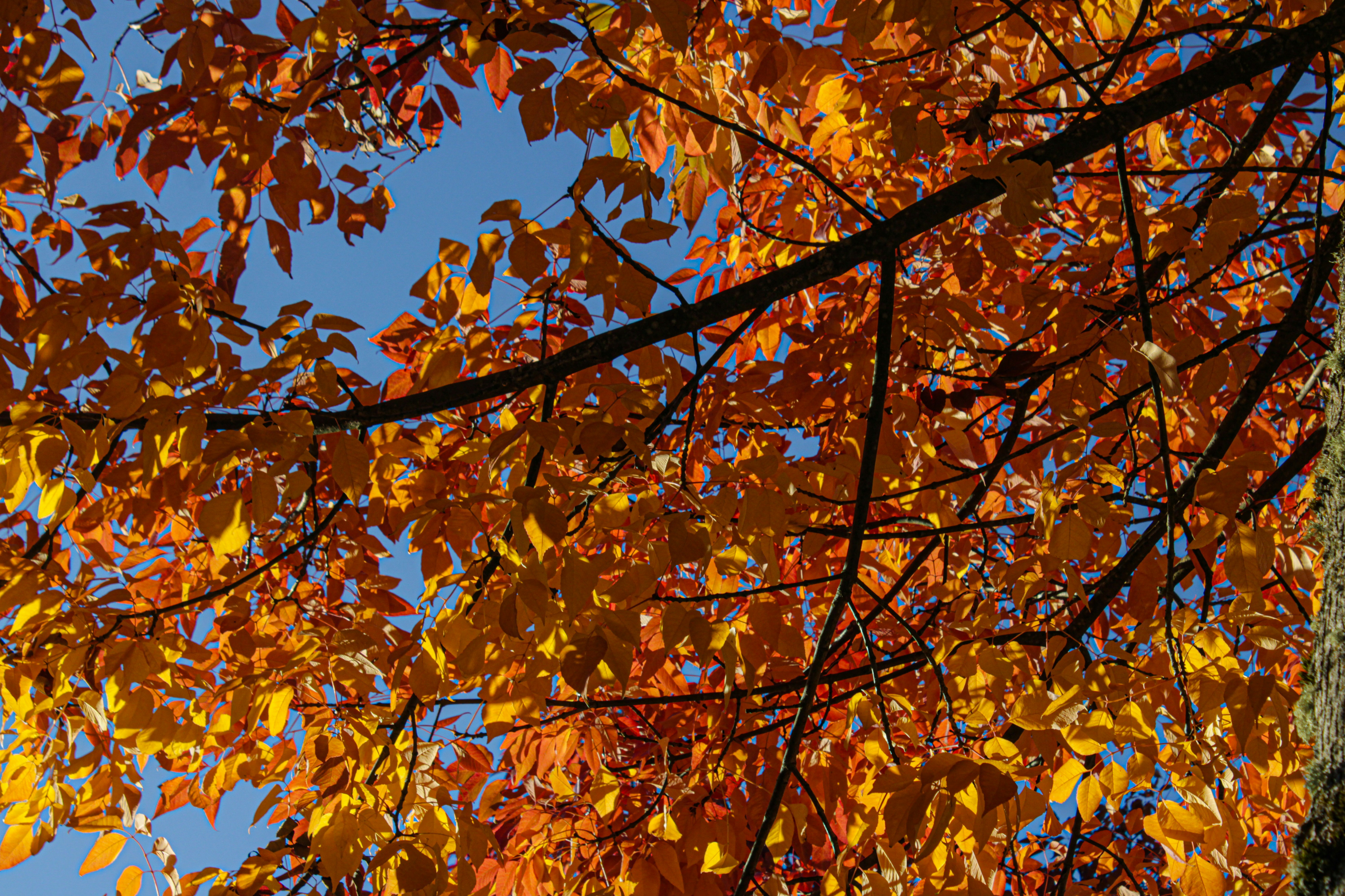 Photo by prphotography262