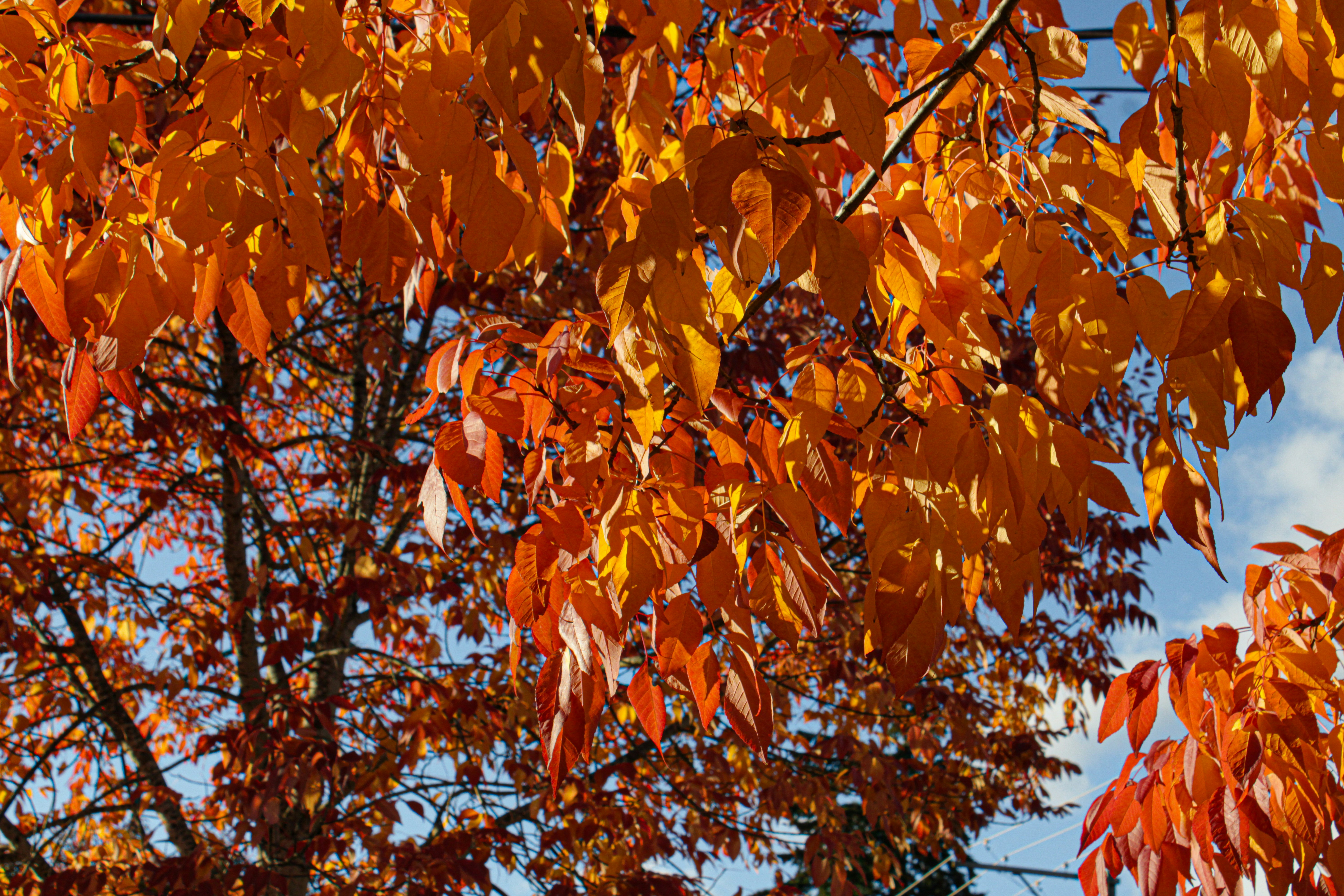 Photo by prphotography262