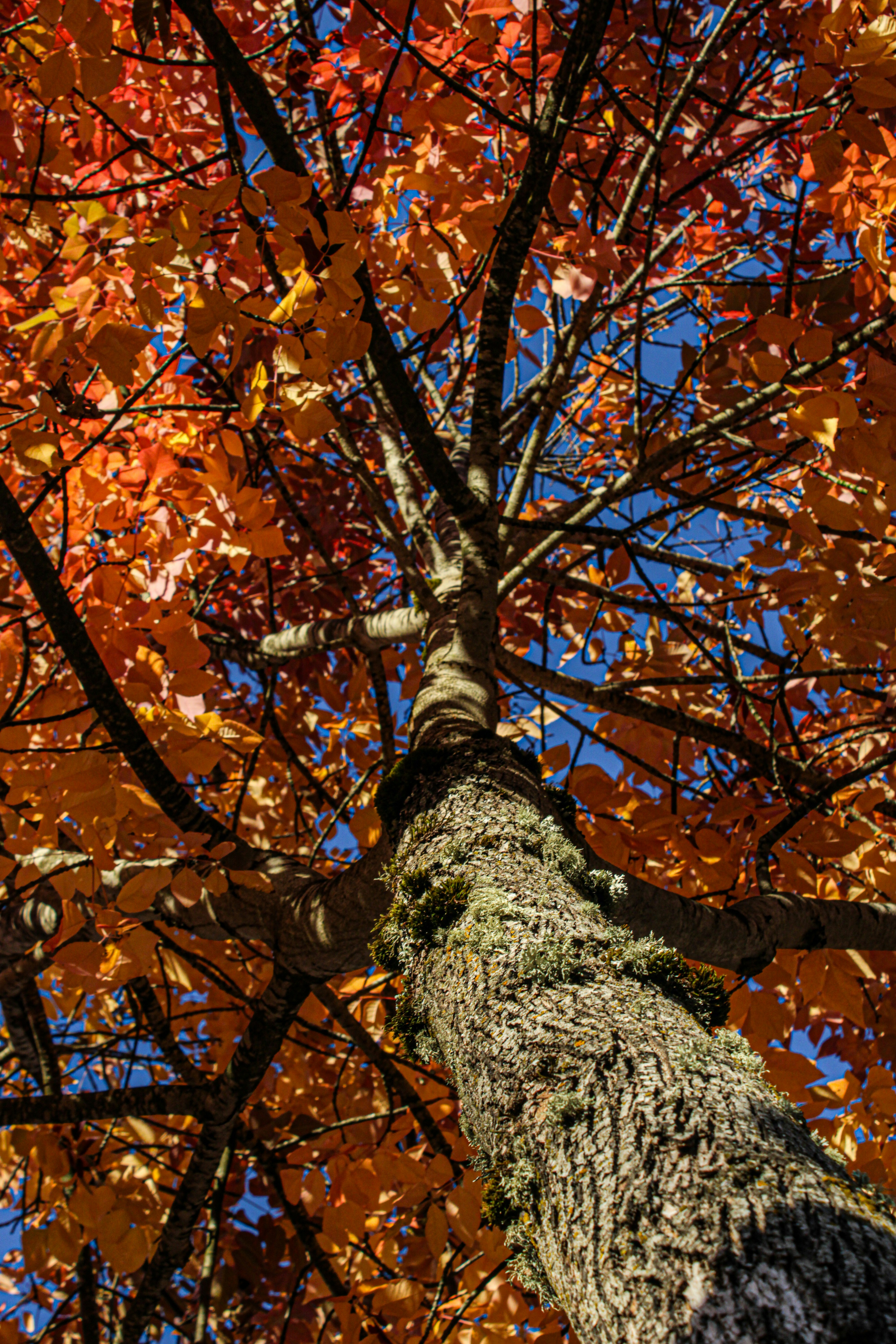 Photo by prphotography262