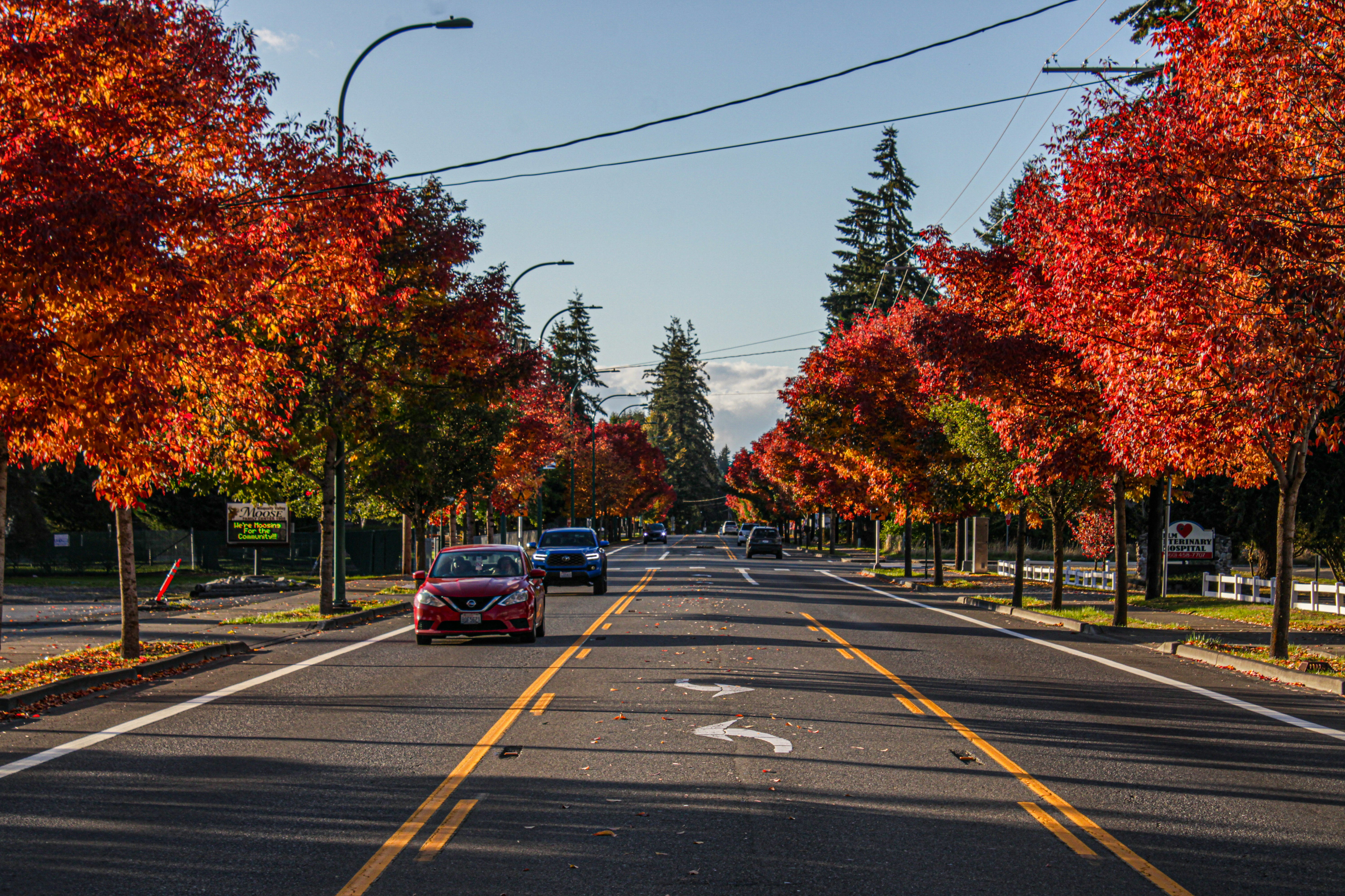 Photo by prphotography262