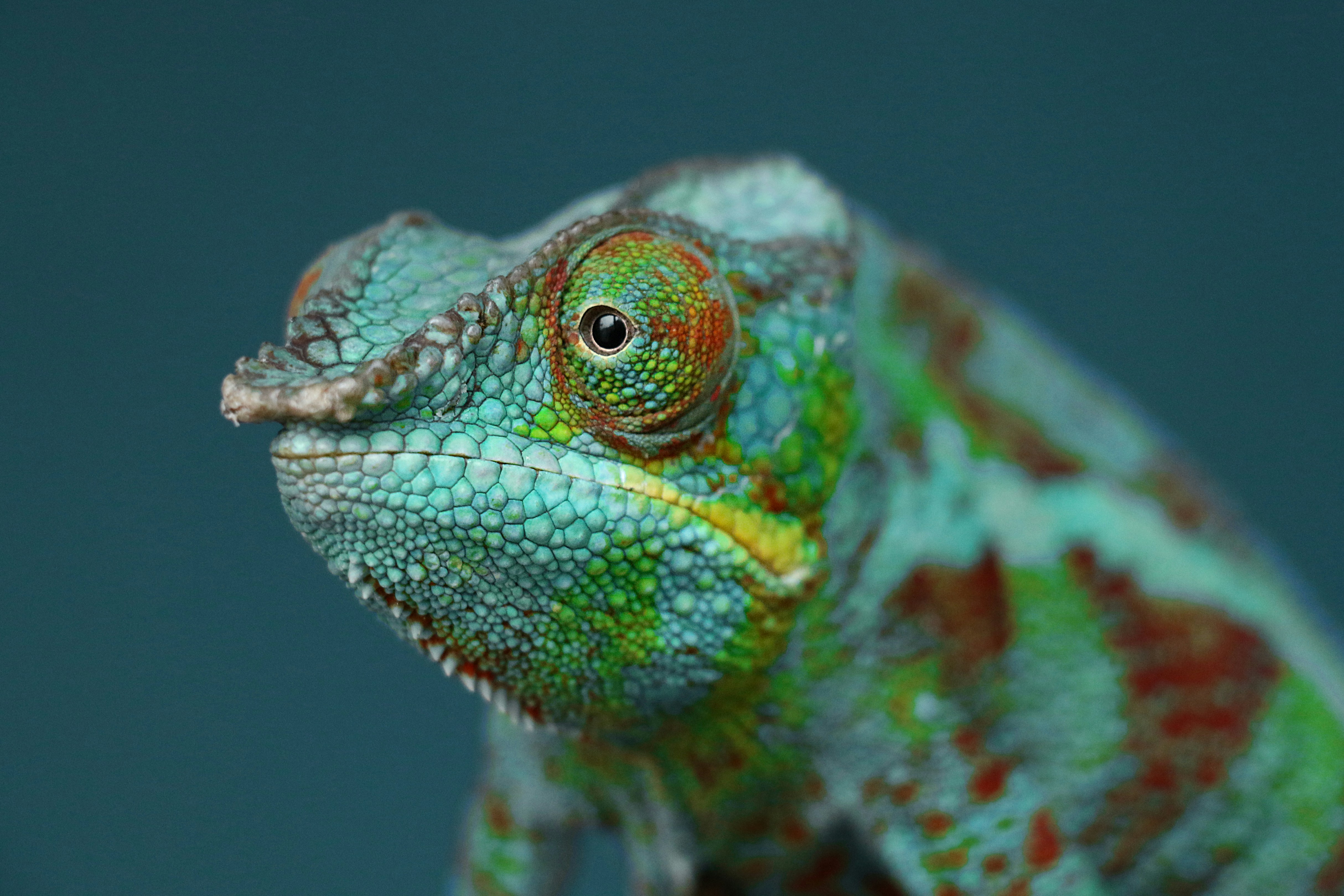 자동차 변속기의 역할 및 중요성에 대해 알아봅시다