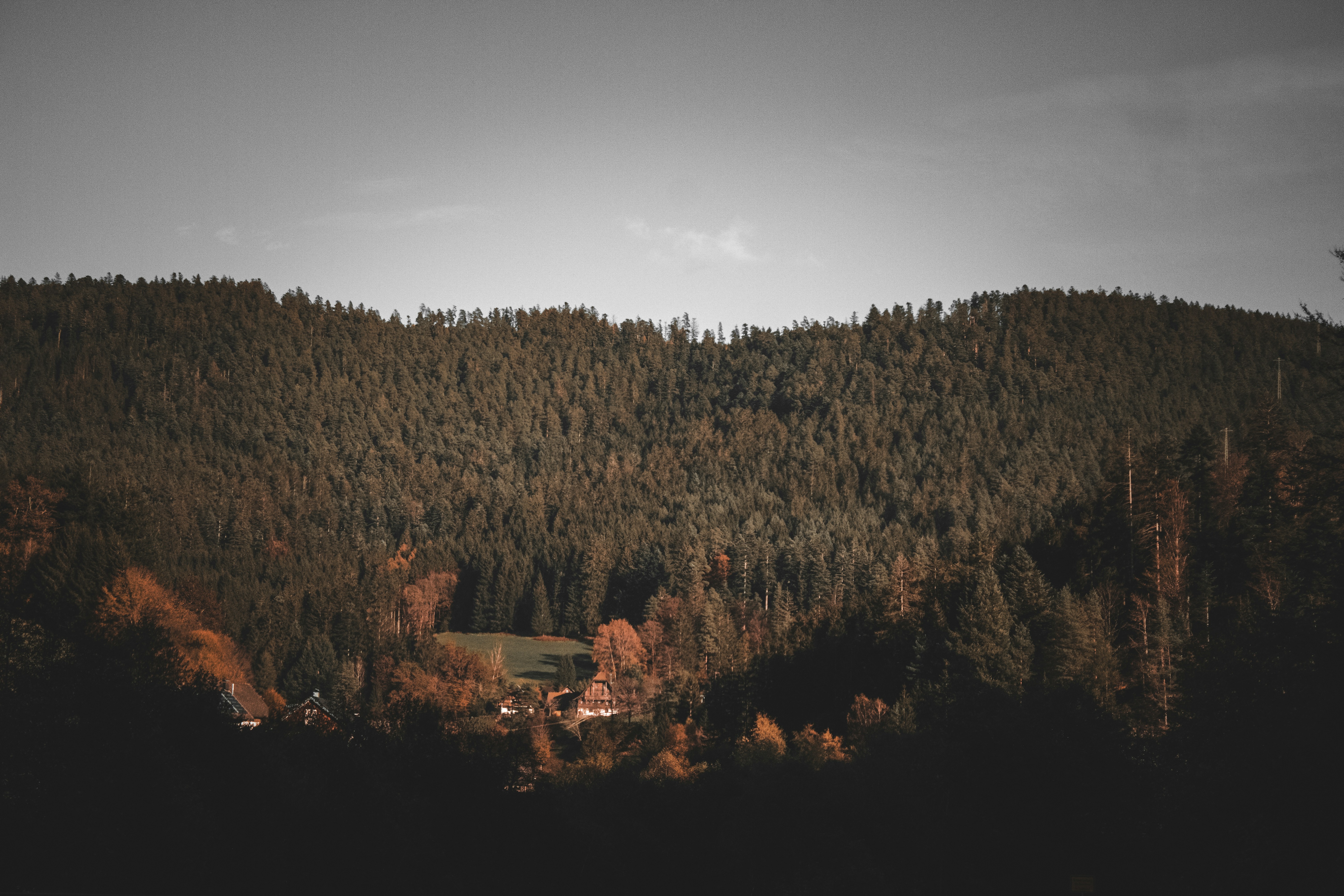 Photo by mihaelstojcevic