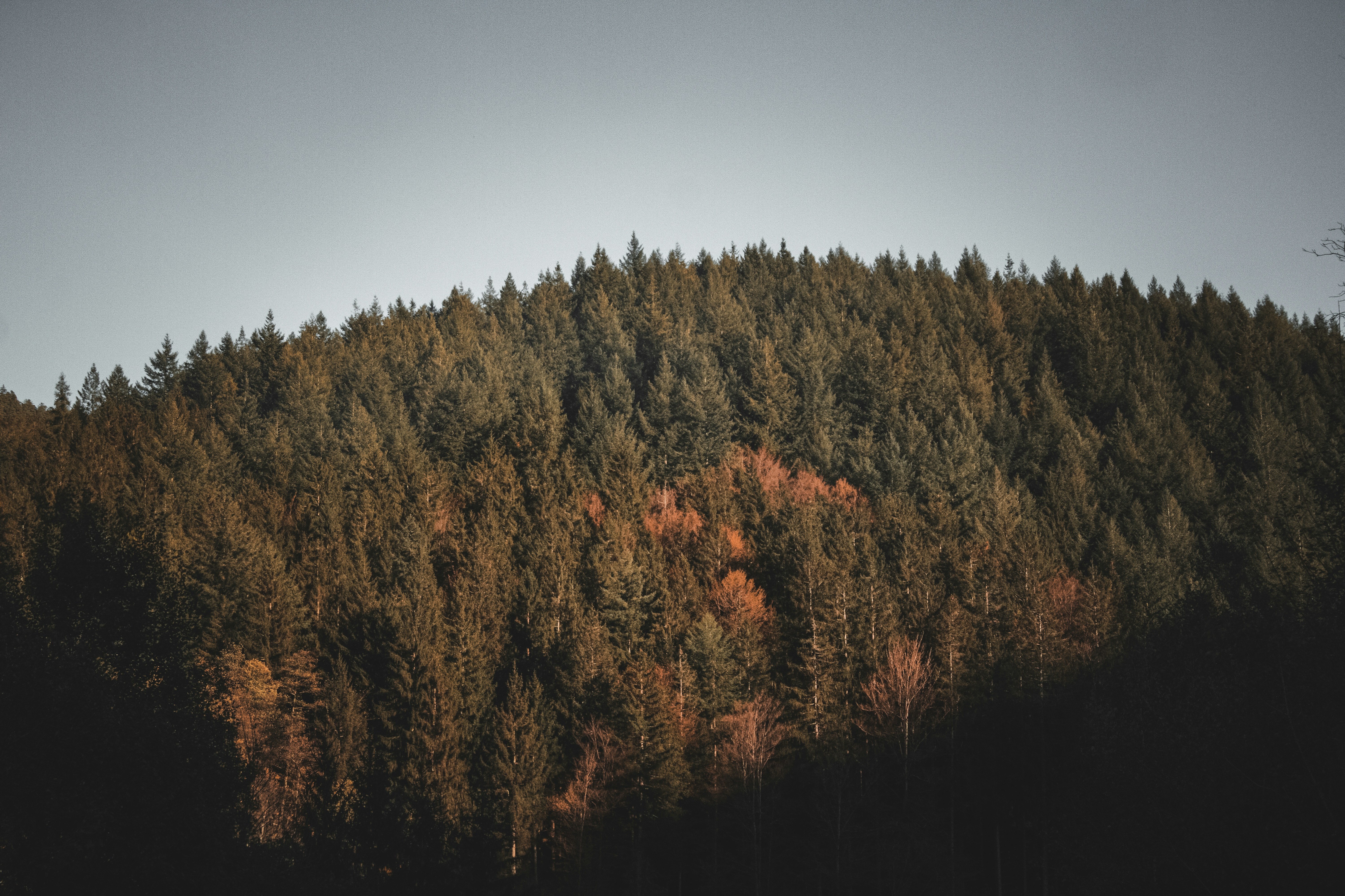 Photo by mihaelstojcevic