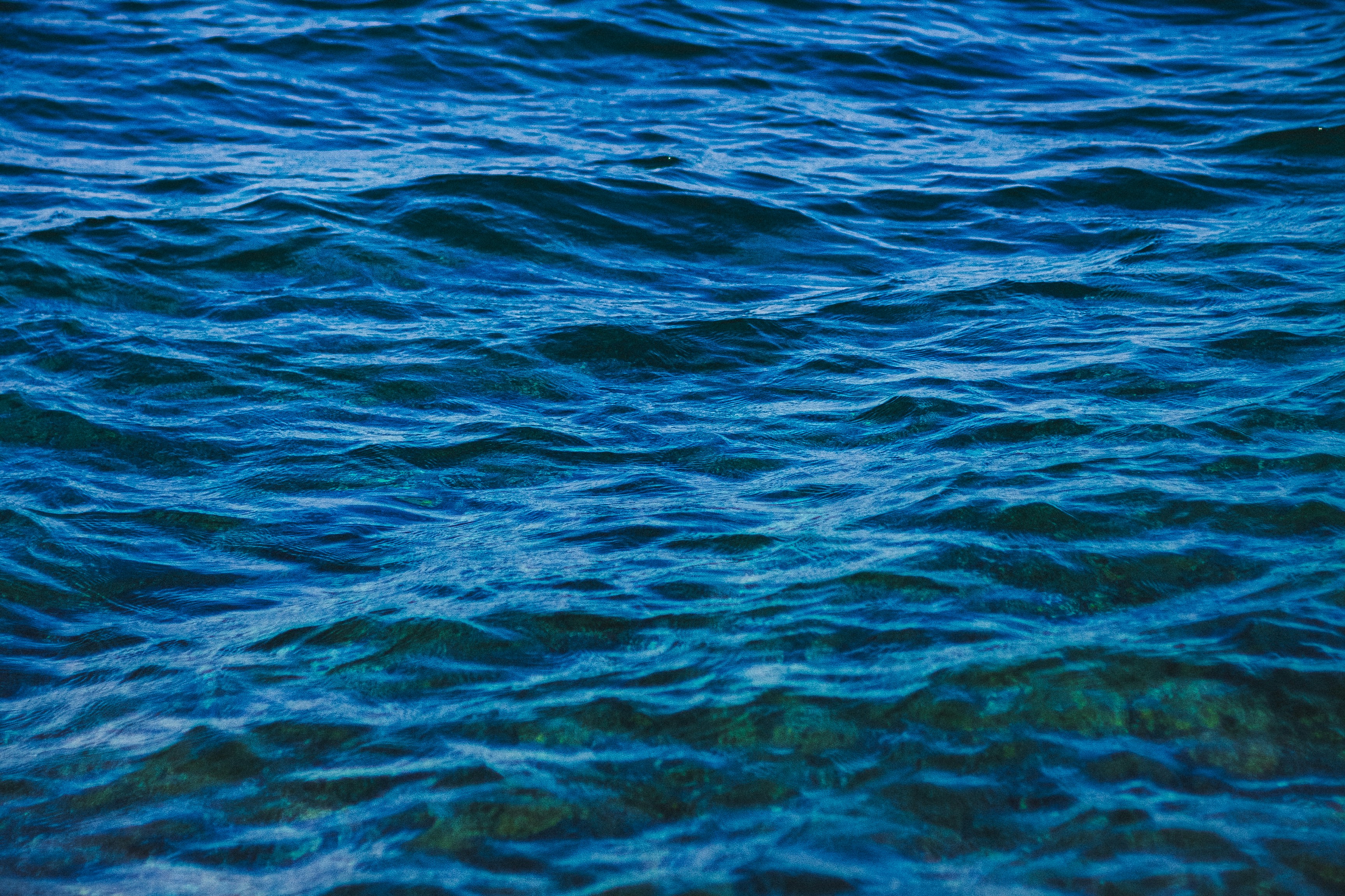 Photo by sentimaprinco