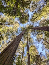 Space Sustainability is ultimately an environmental matter.
