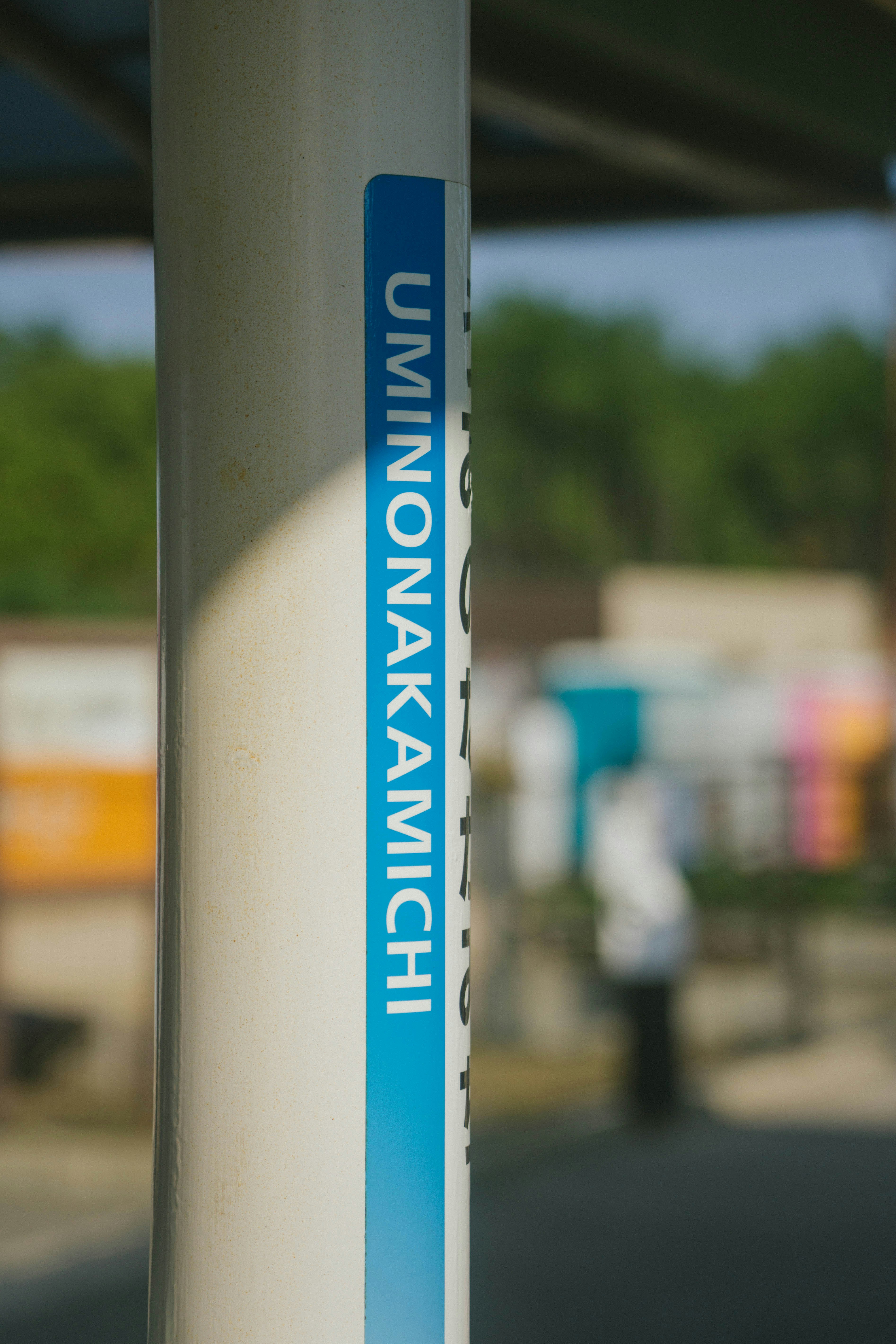 A blue and white street sign on a pole