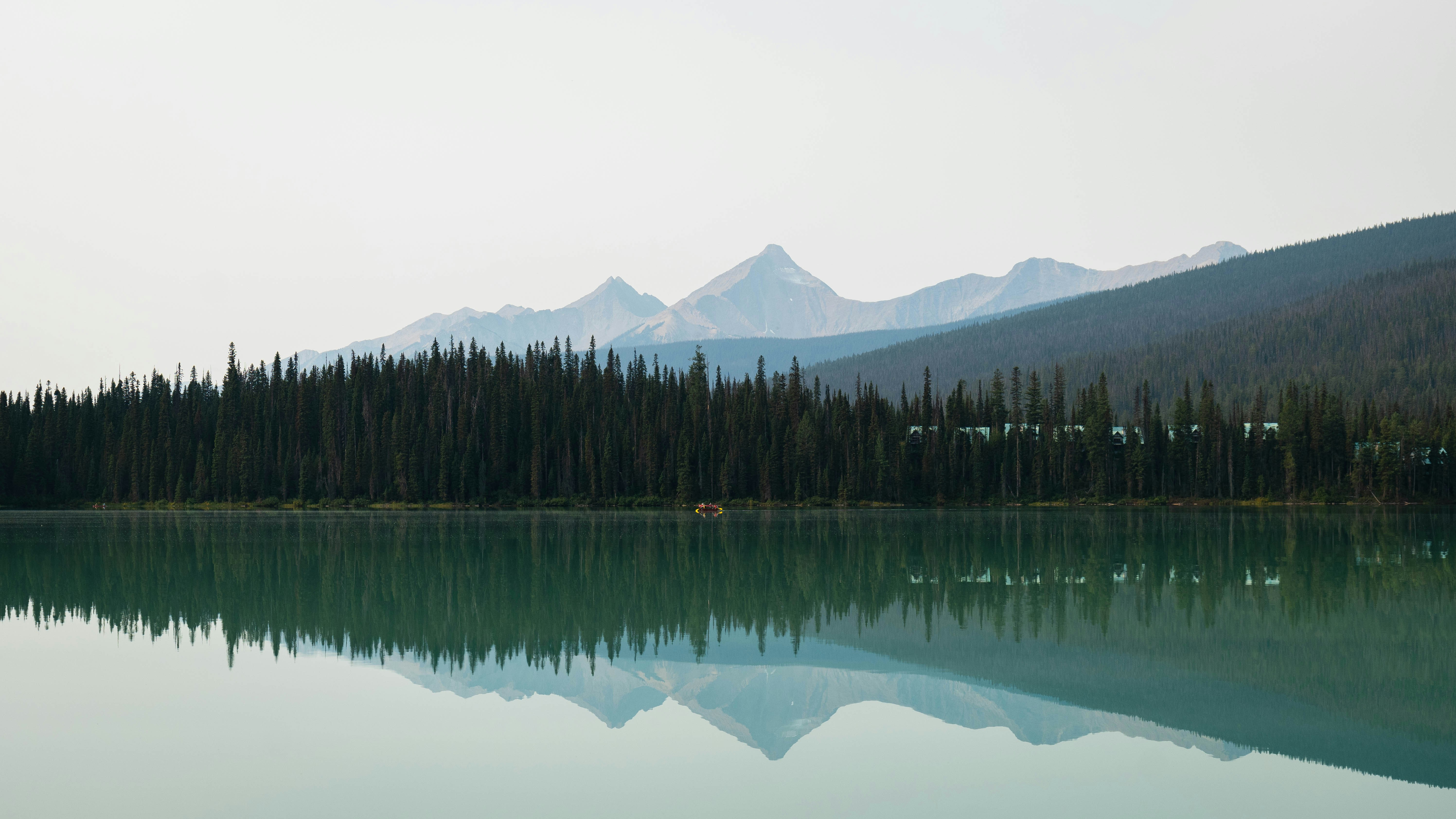 A large body of water surrounded by a forest