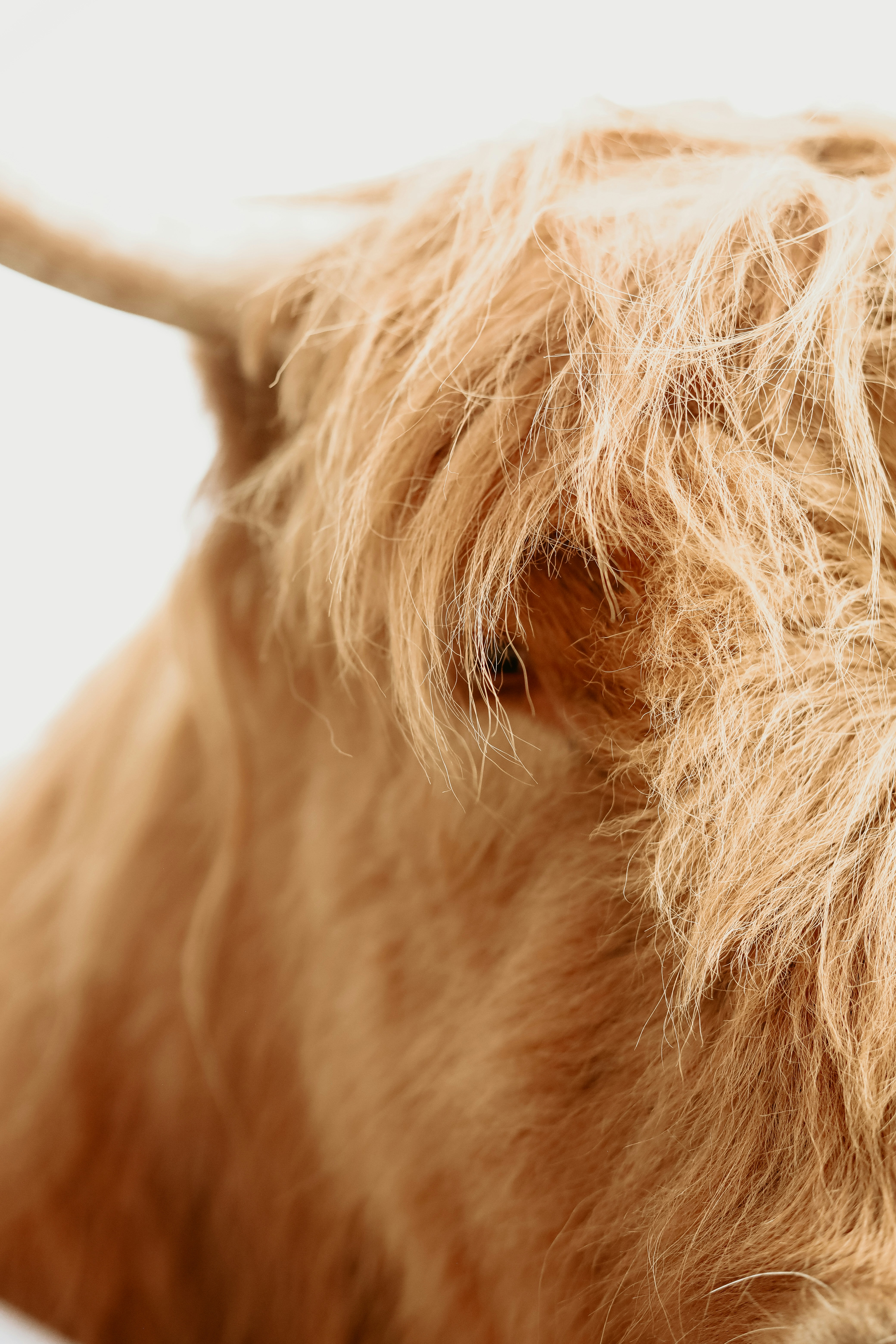 Photo by alexmcferon