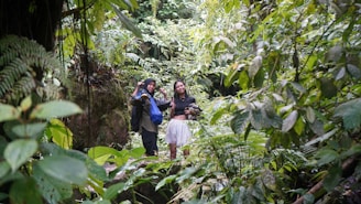 A group of people walking through a lush green forest