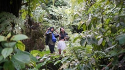 A group of people walking through a lush green forest
