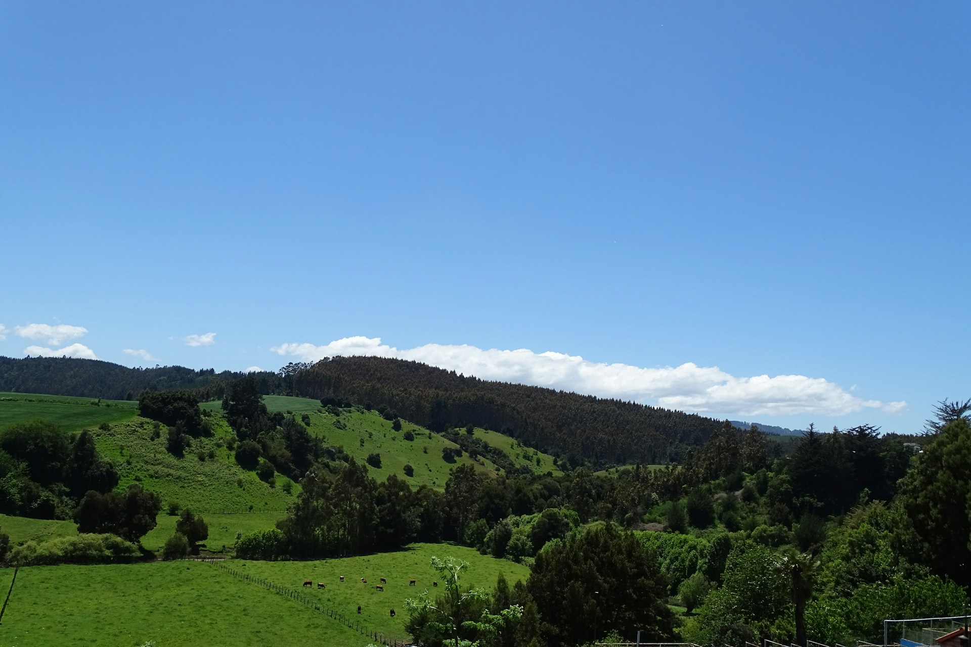 A view of a lush green hillside with a river running through it