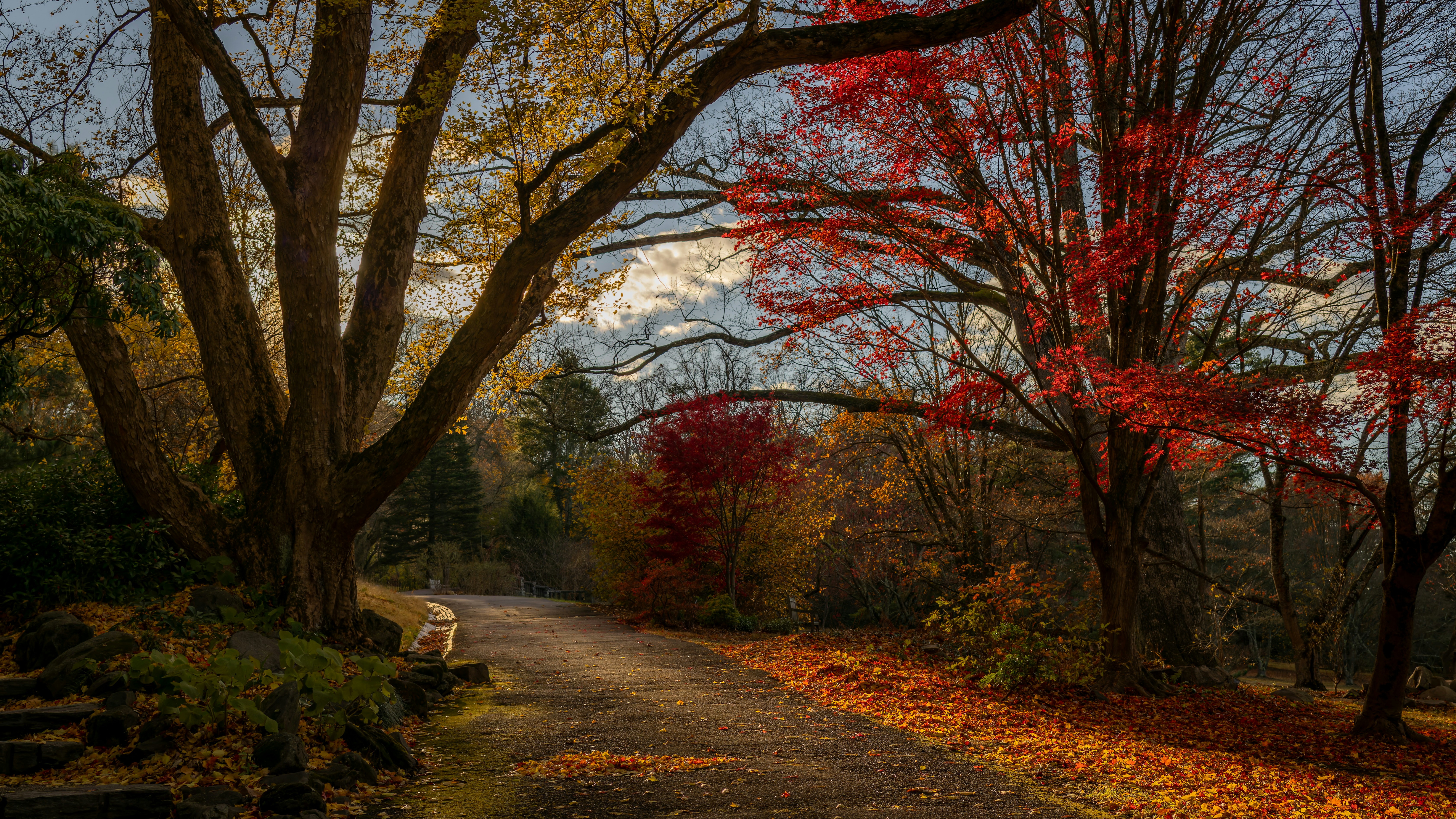 Photo by peterbbryan