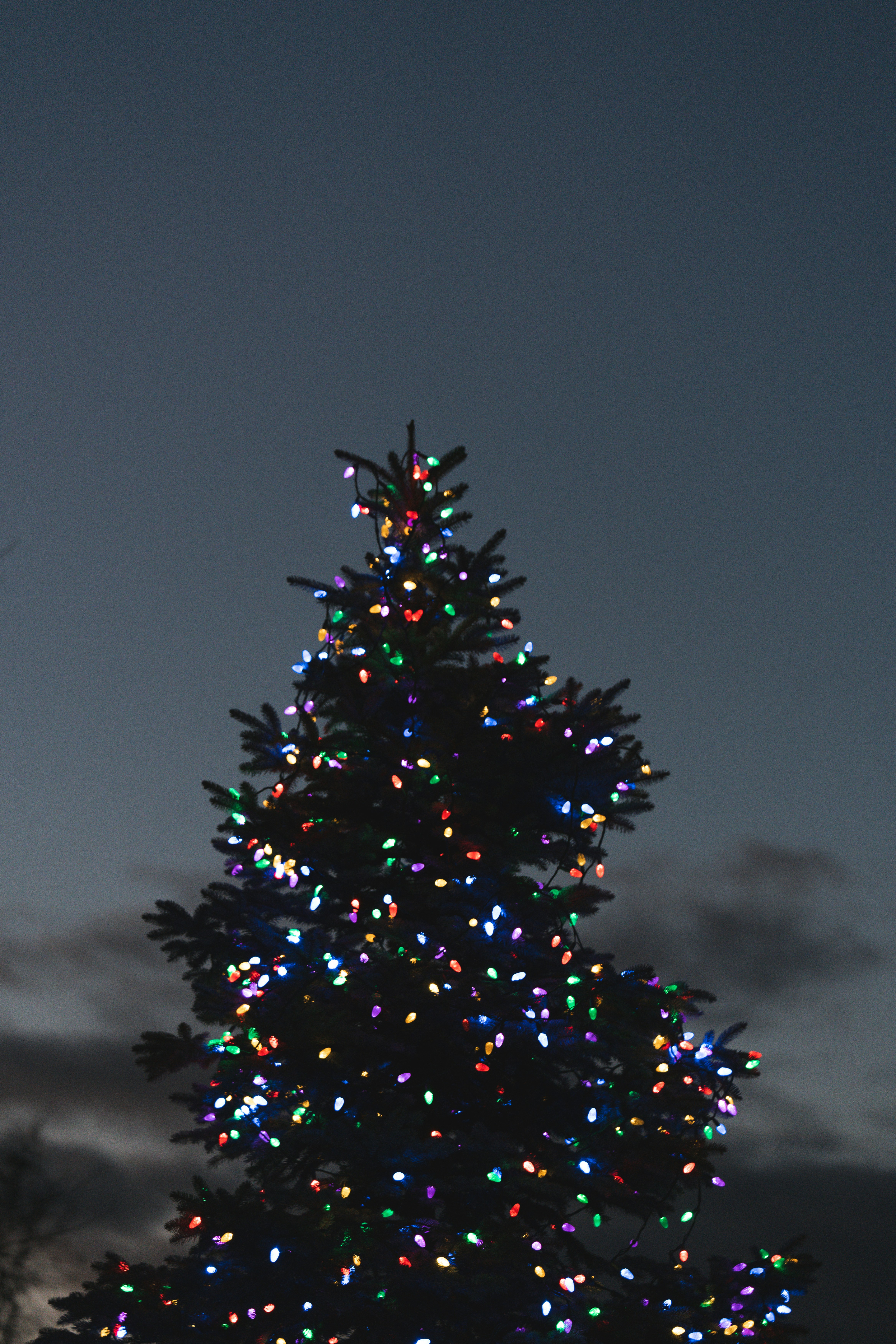 A large christmas tree is lit up at night