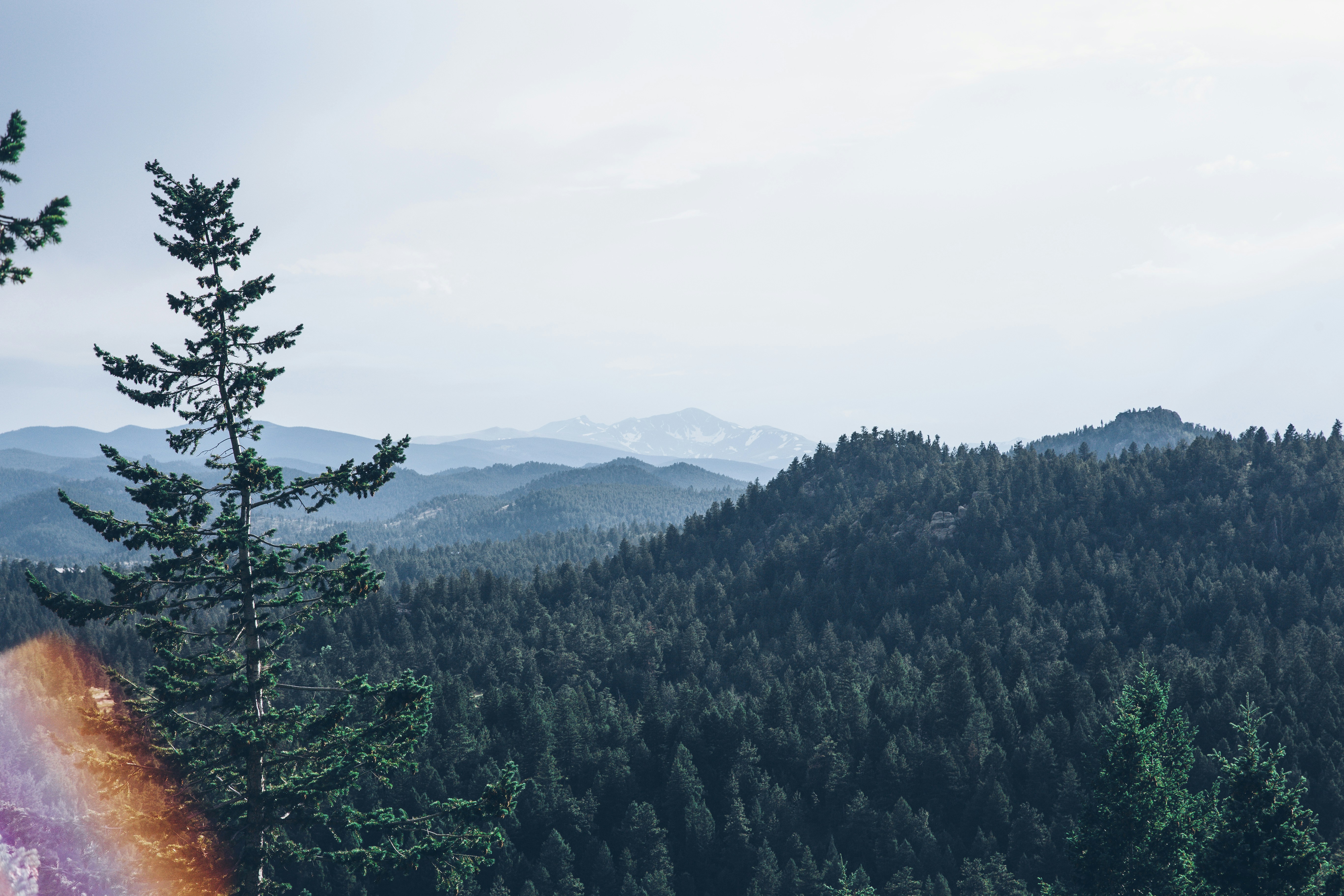 Photo by brycethompsonmedia