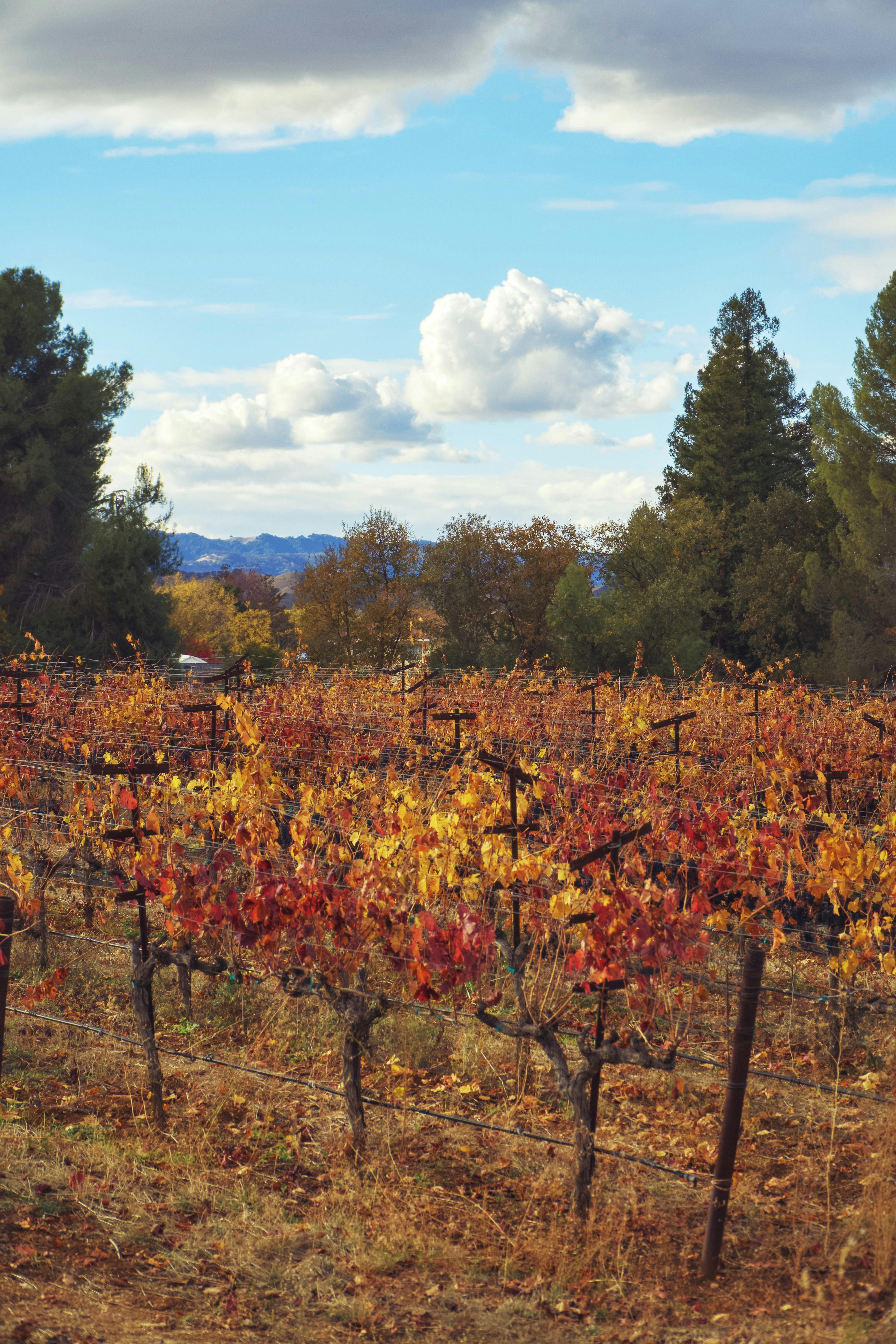 Photo by spencer_demera