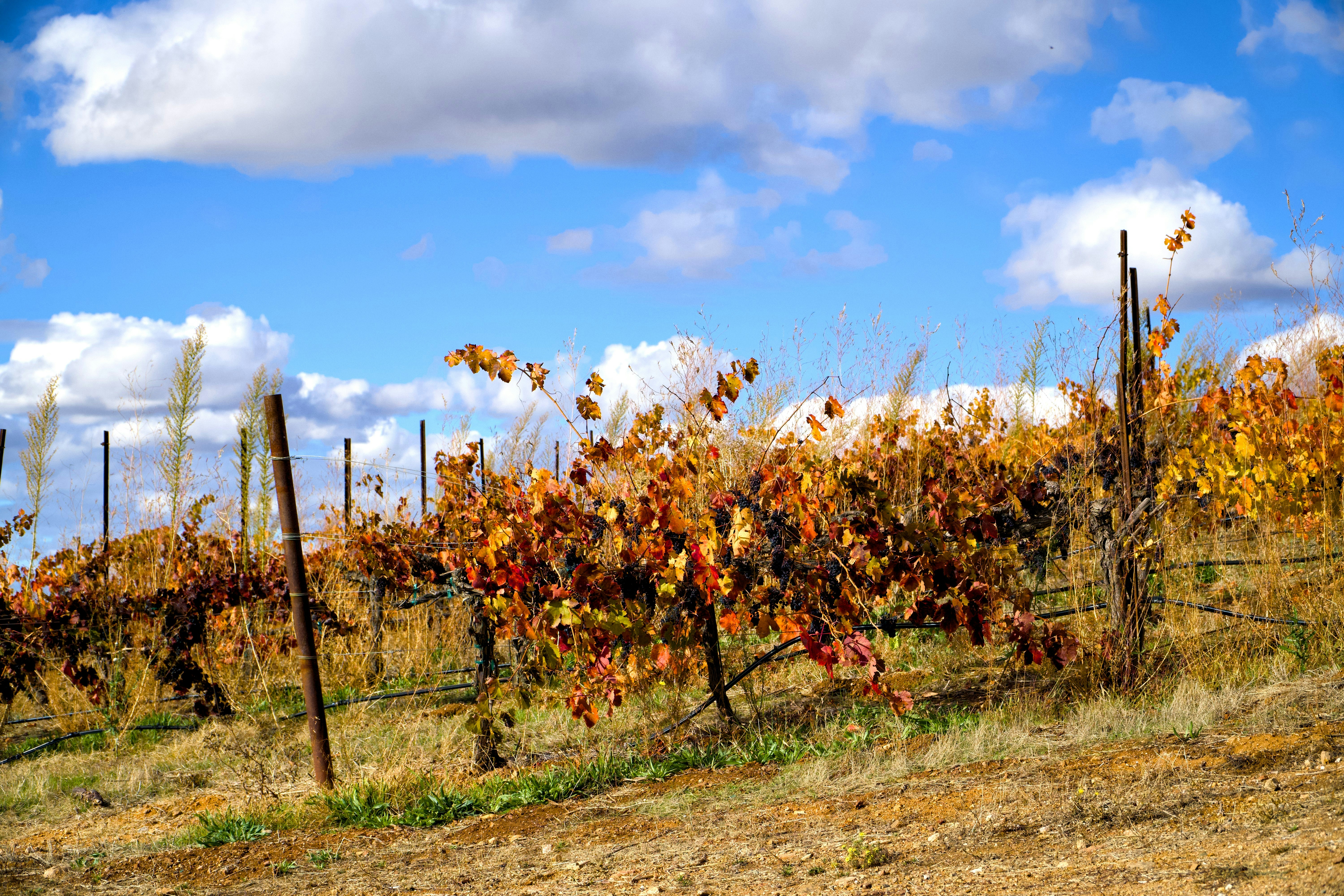 Photo by spencer_demera