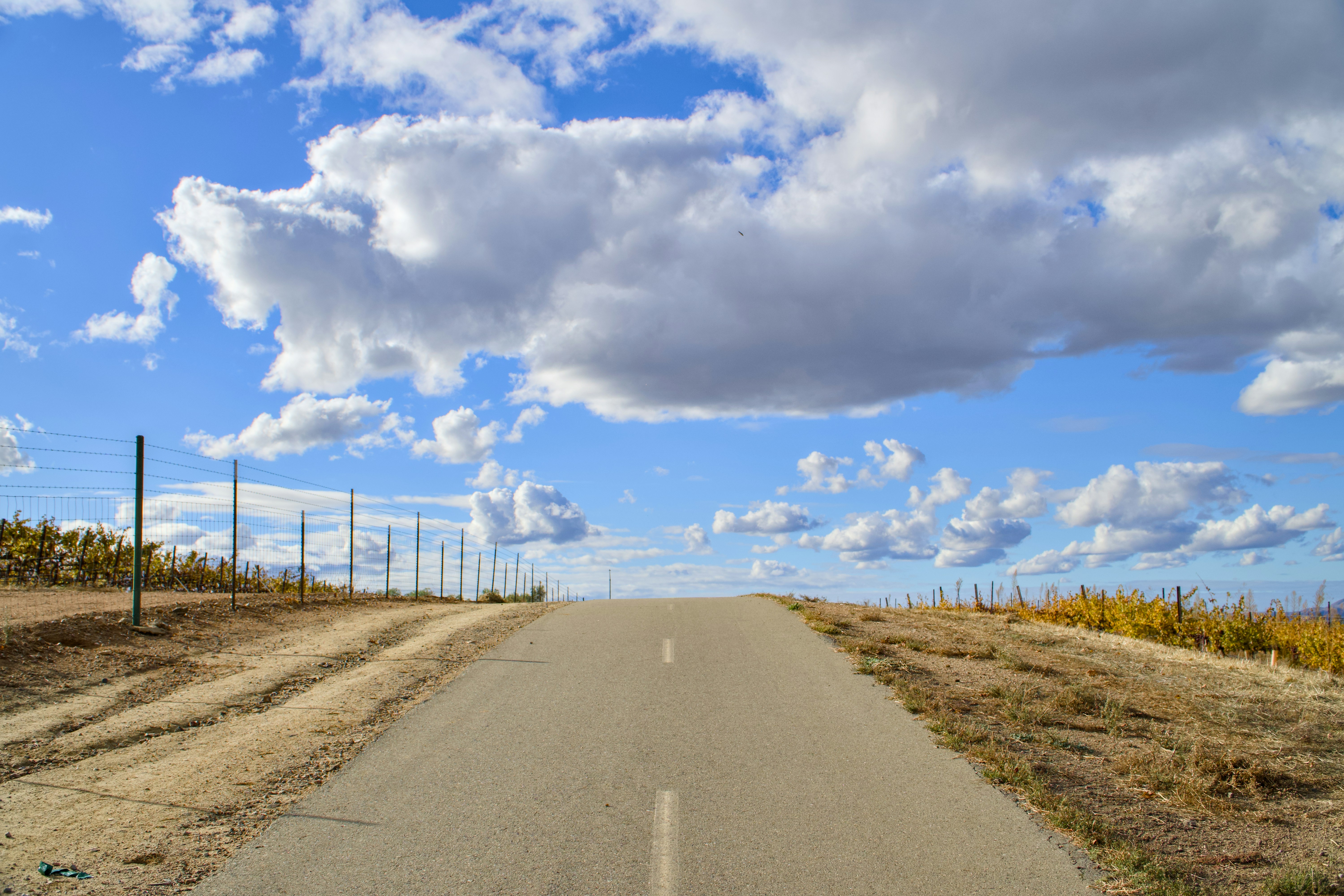 Photo by spencer_demera