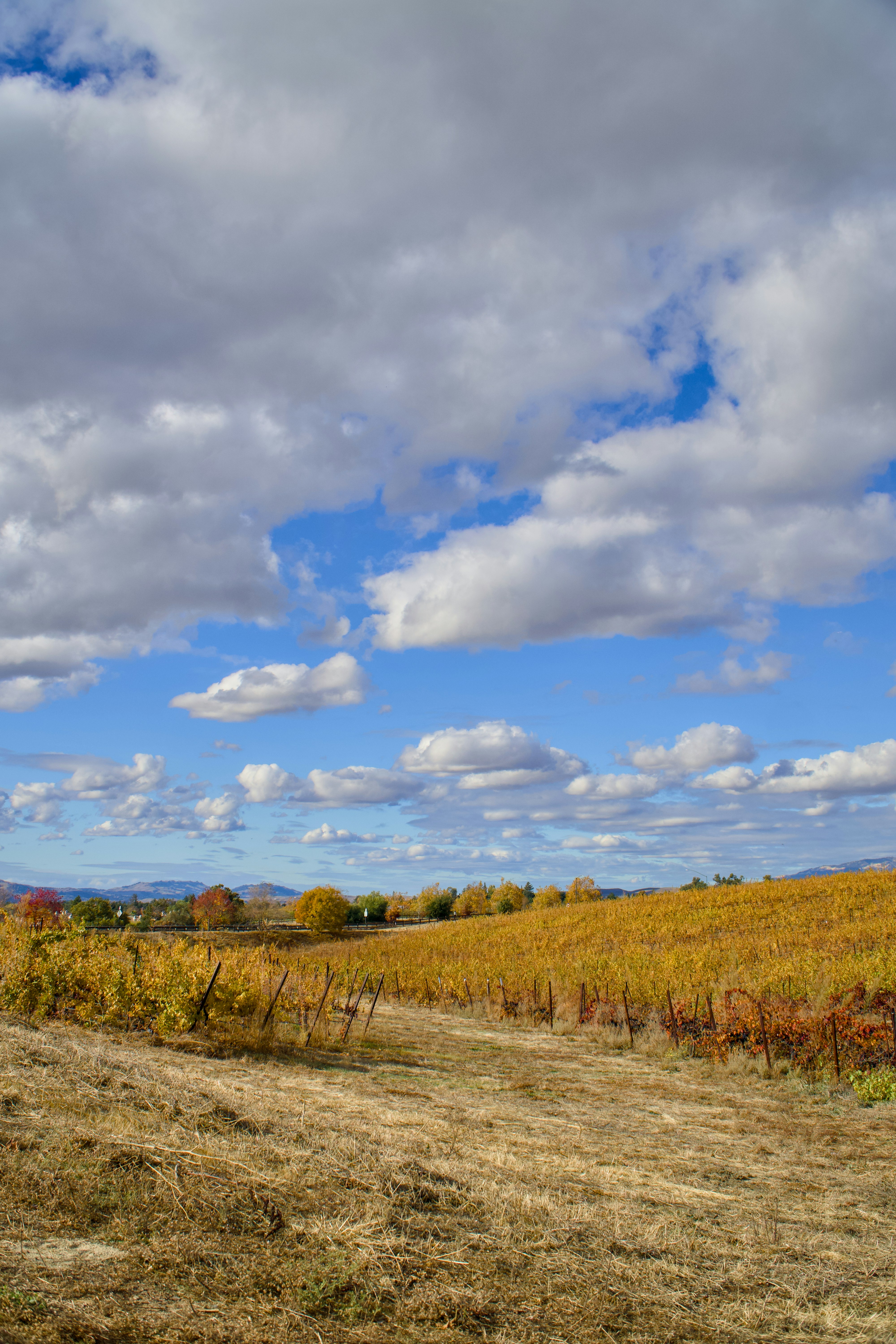 Photo by spencer_demera