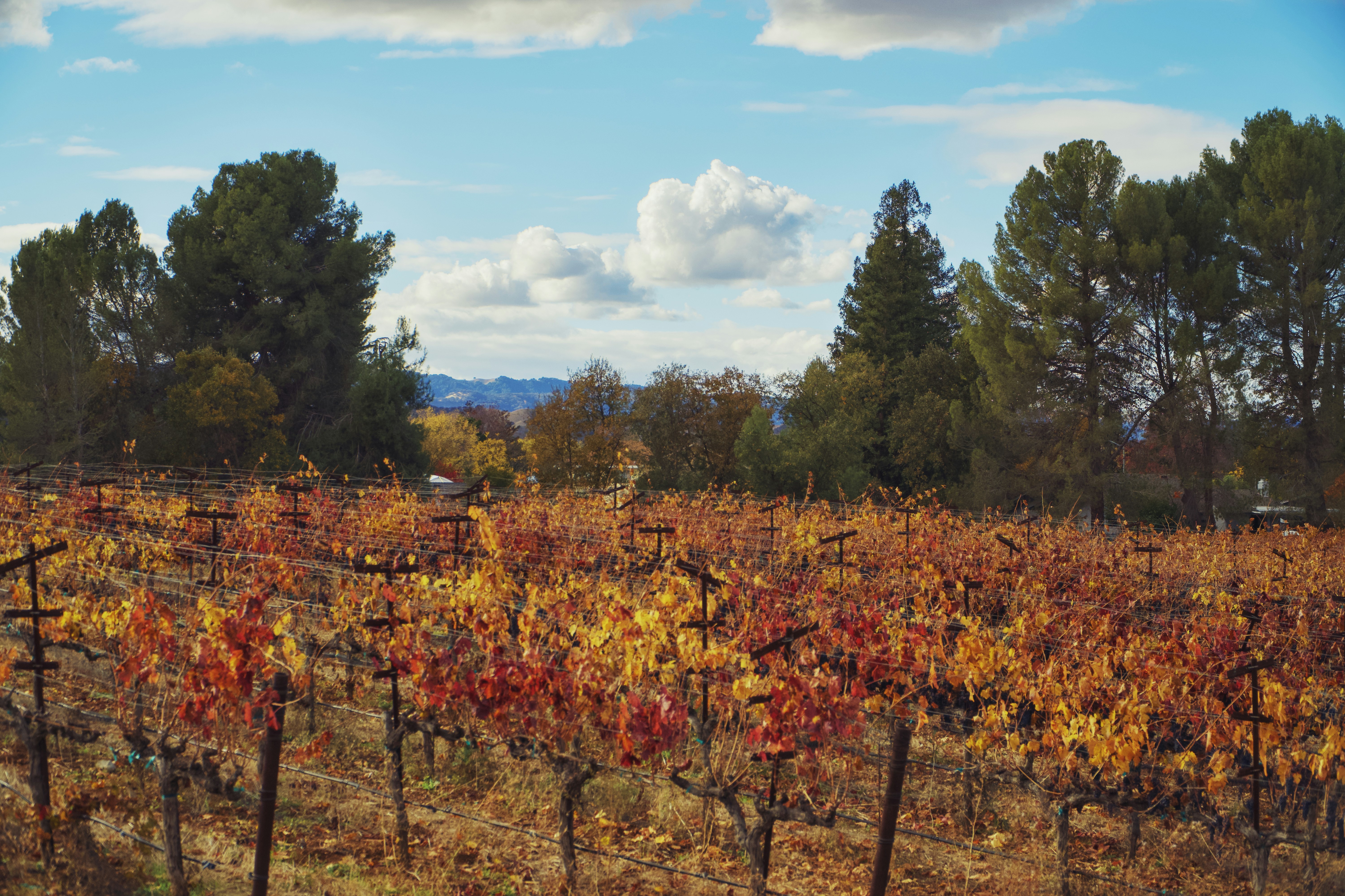 Photo by spencer_demera