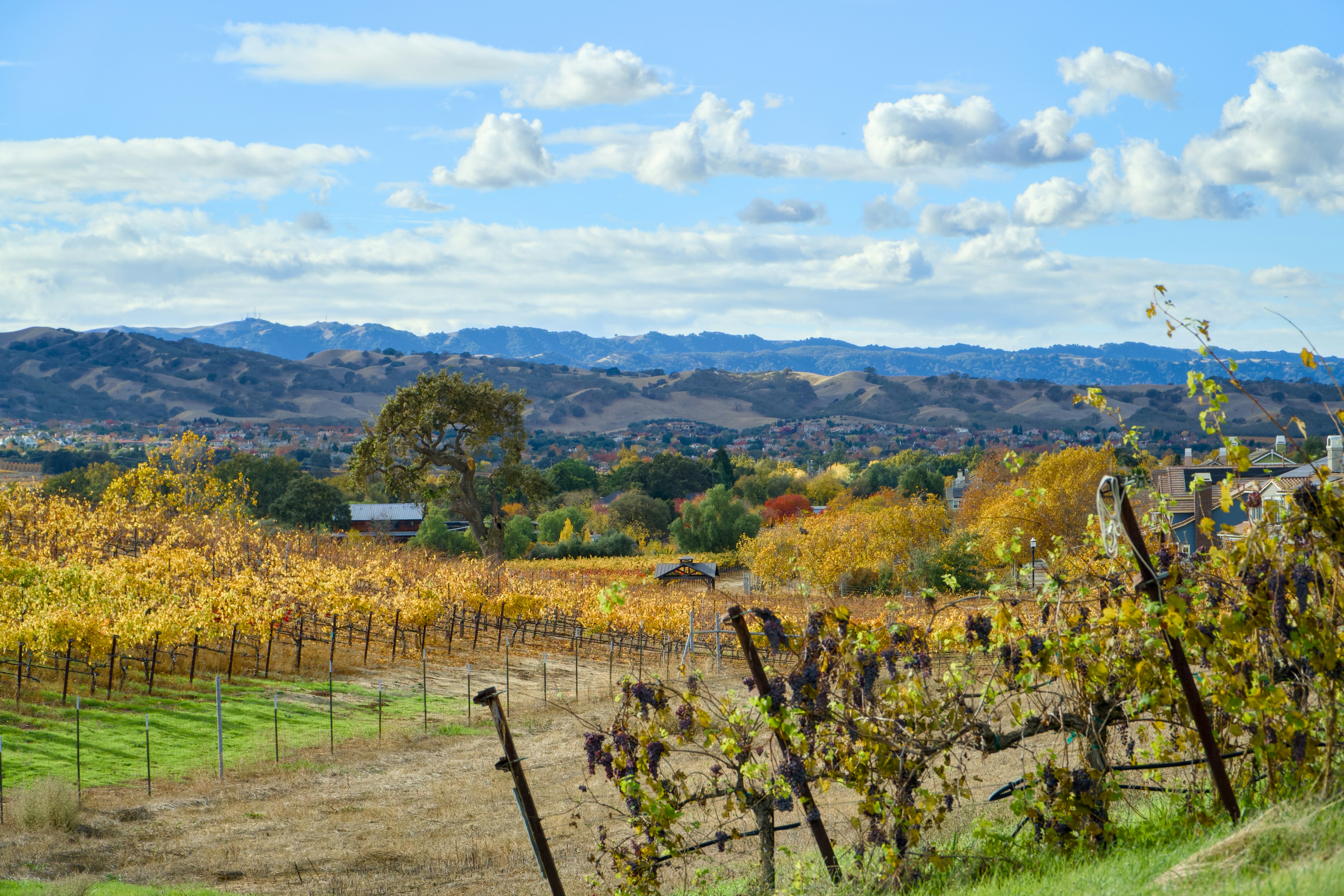 Photo by spencer_demera