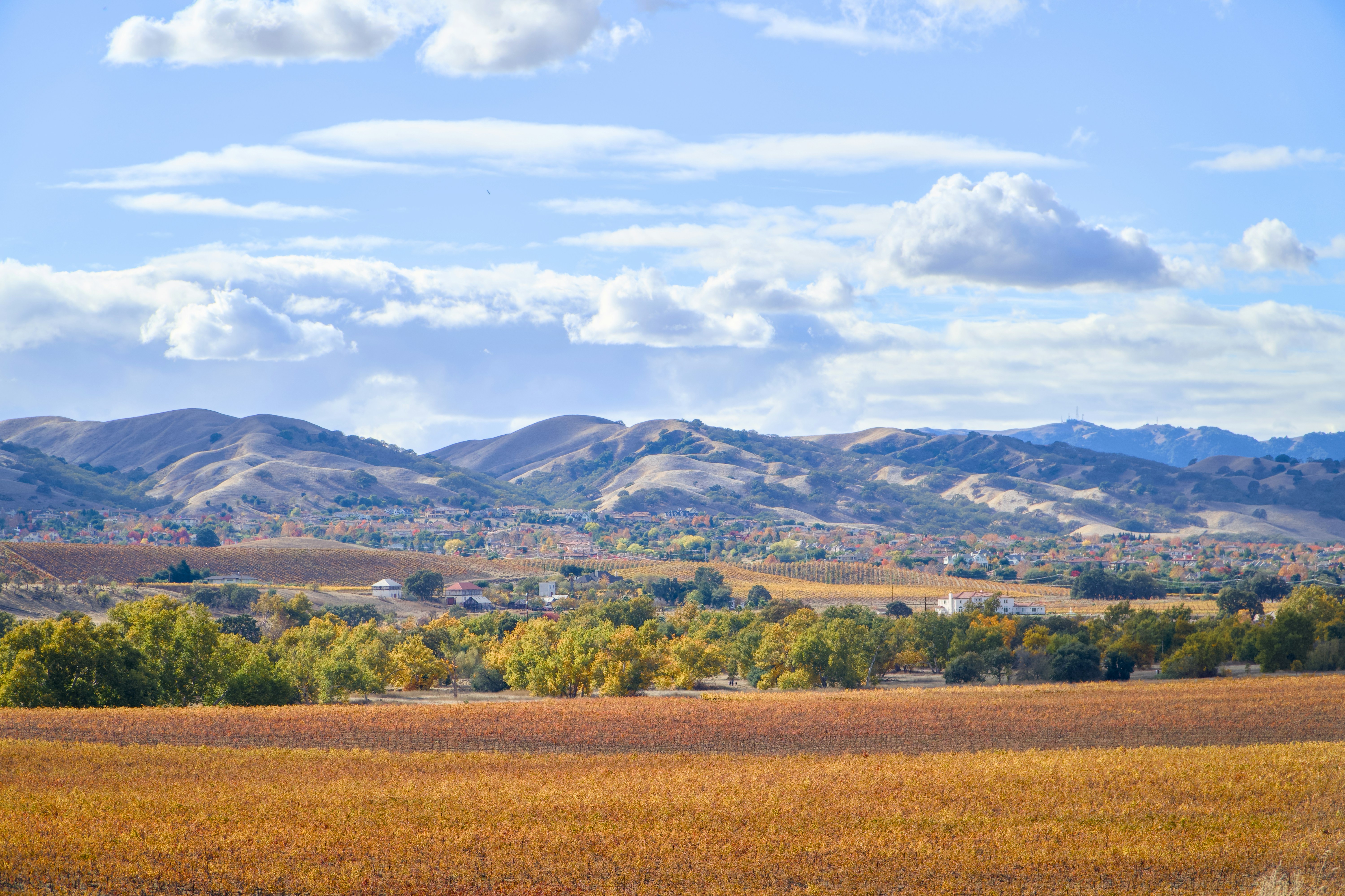 Photo by spencer_demera