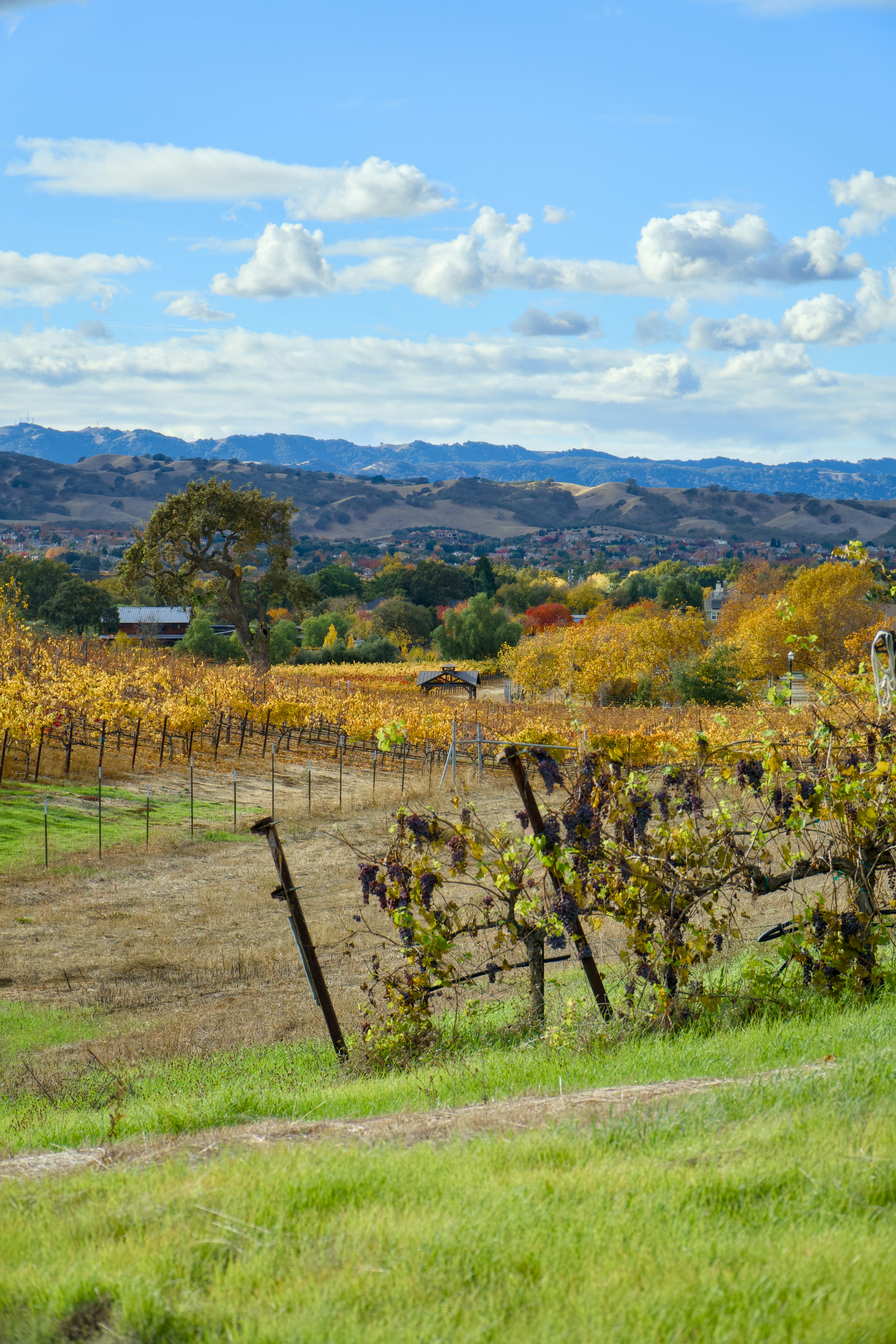 Photo by spencer_demera