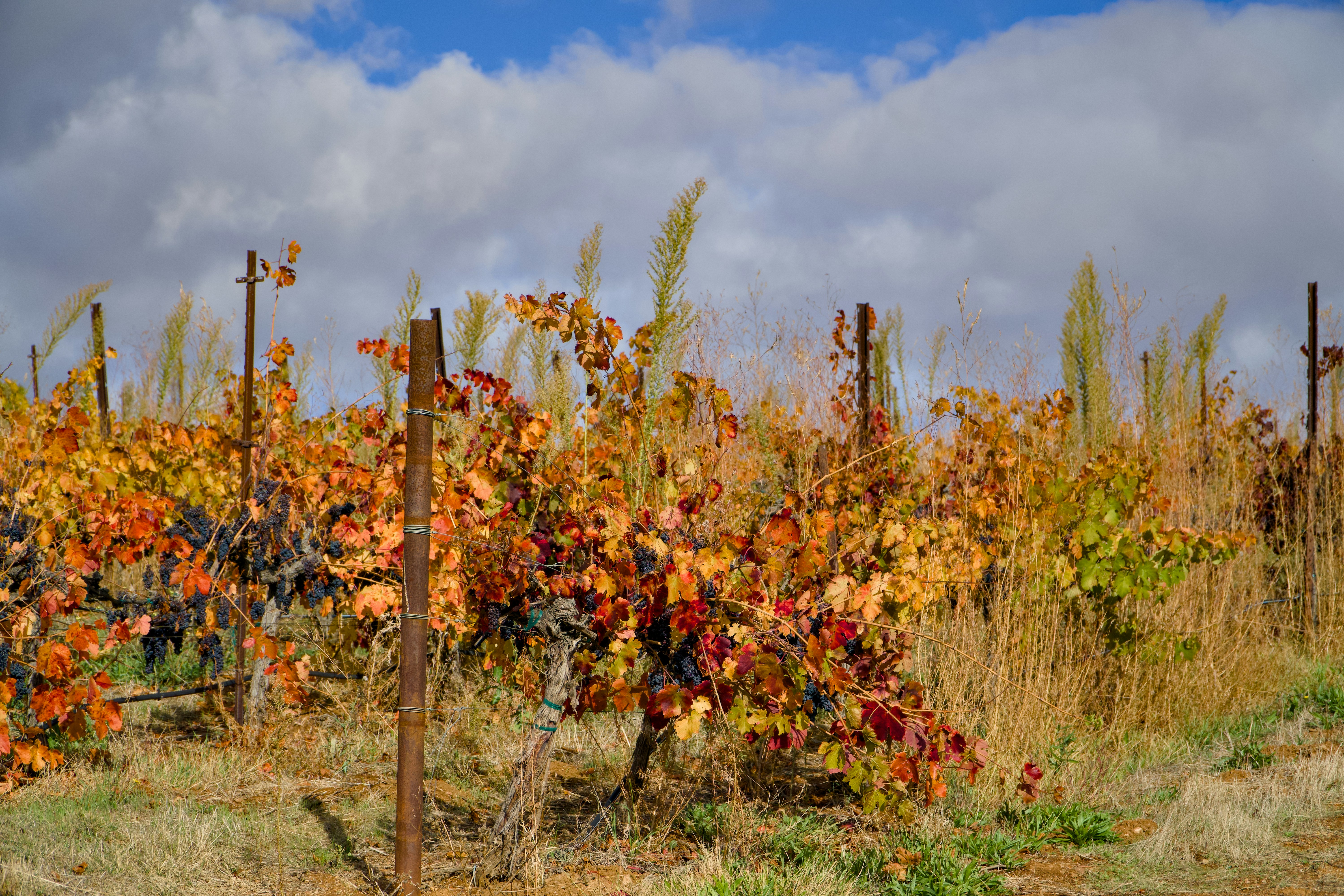 Spain budget travel best time to go