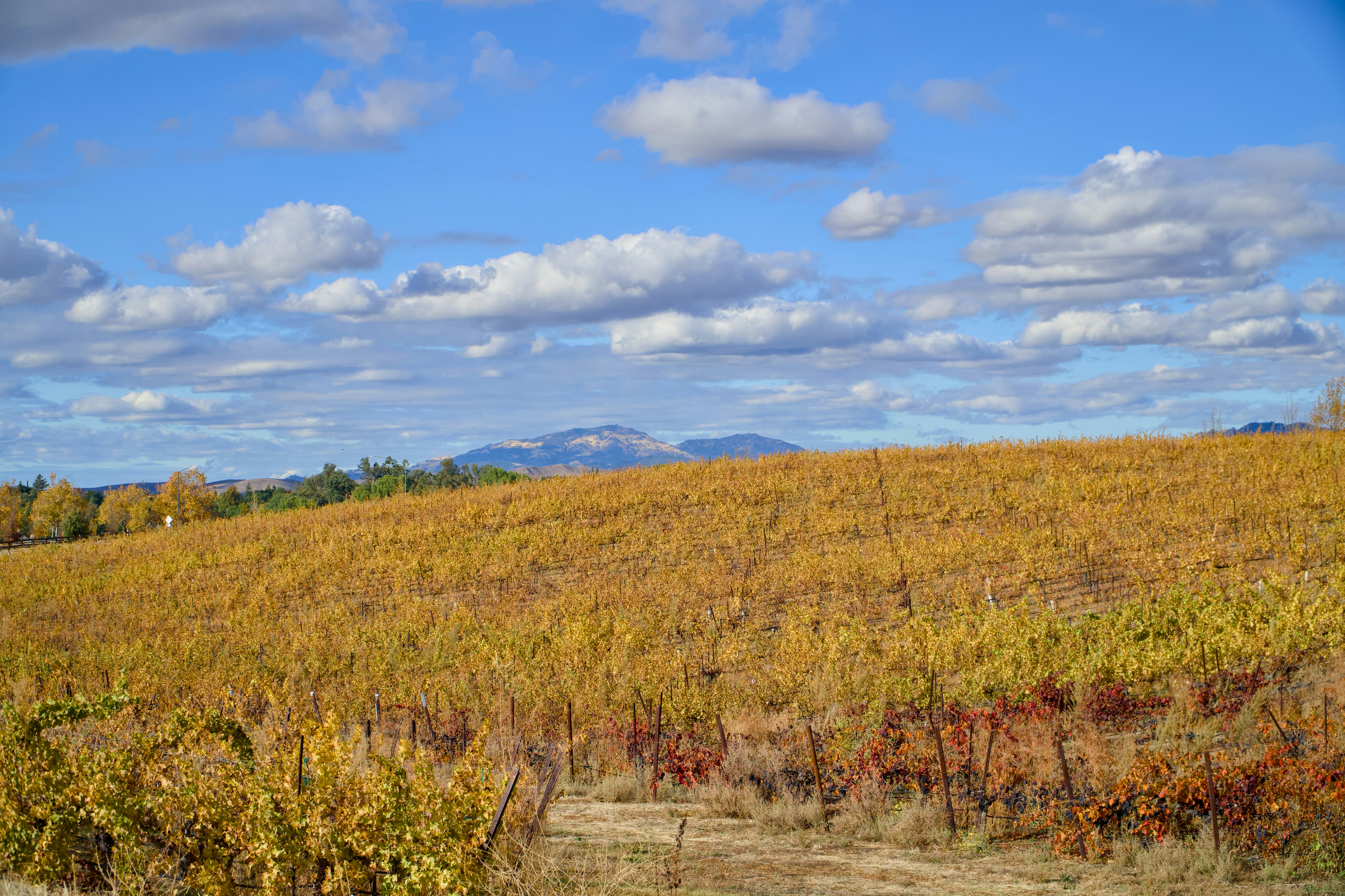 Photo by spencer_demera