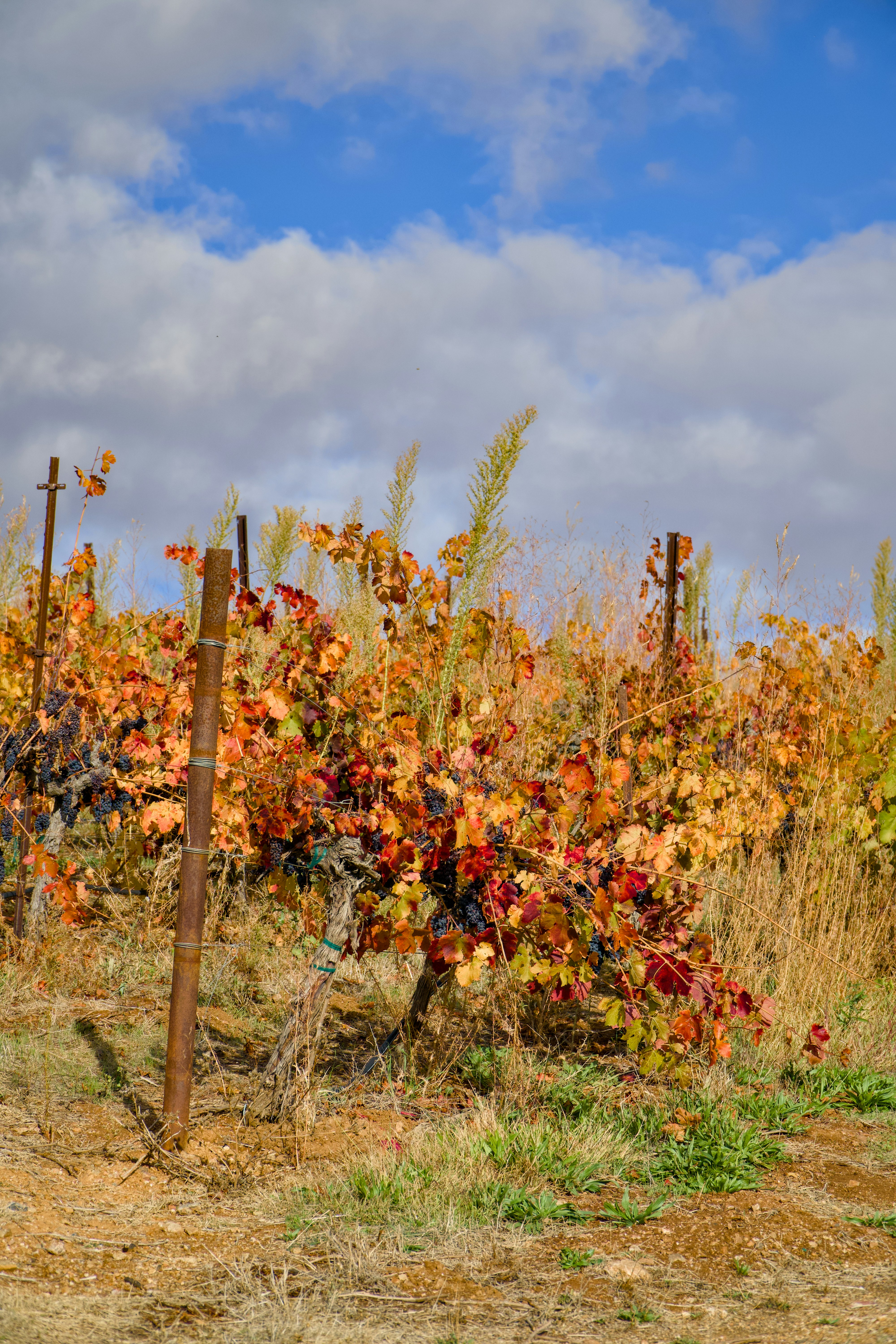 Photo by spencer_demera