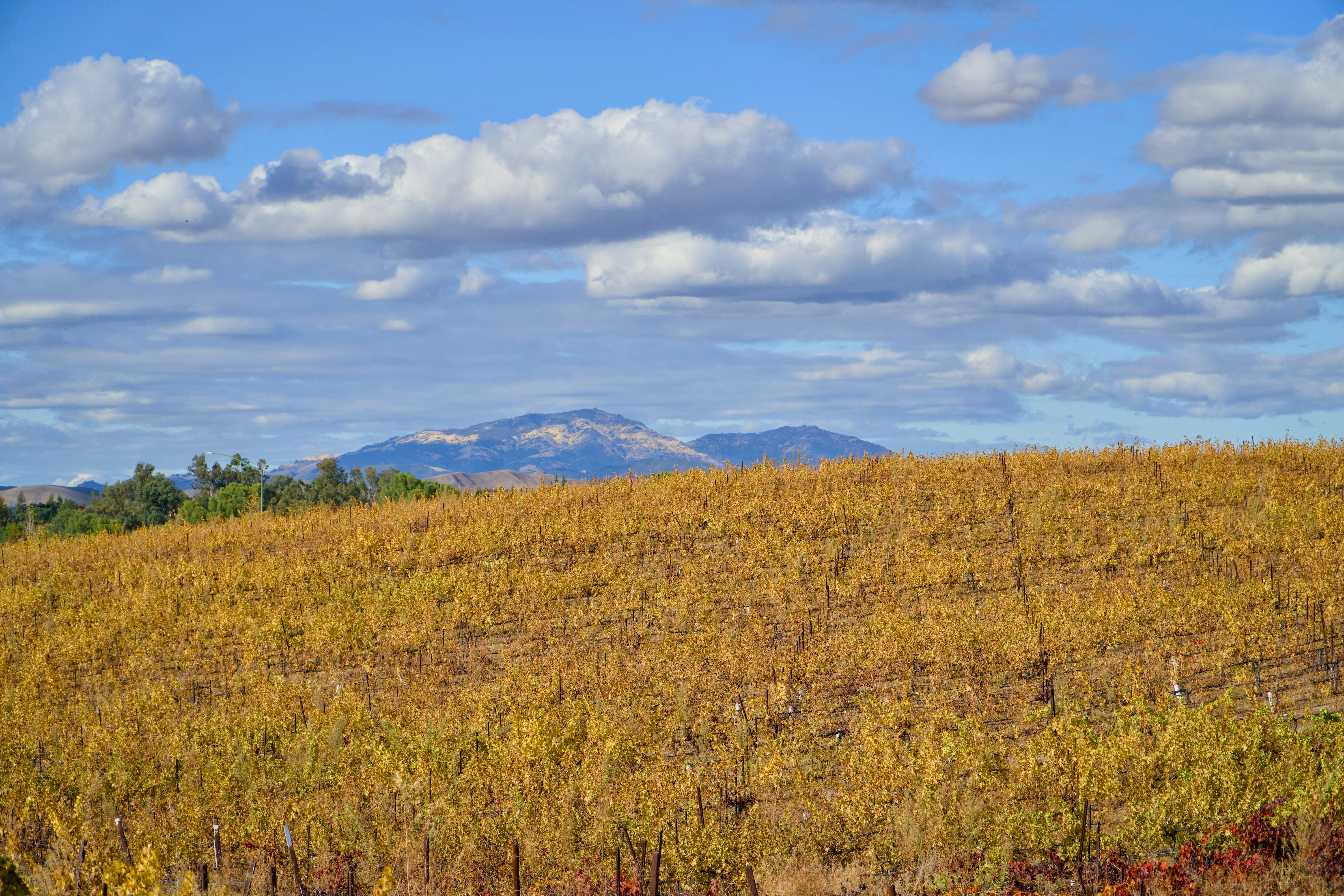 Photo by spencer_demera