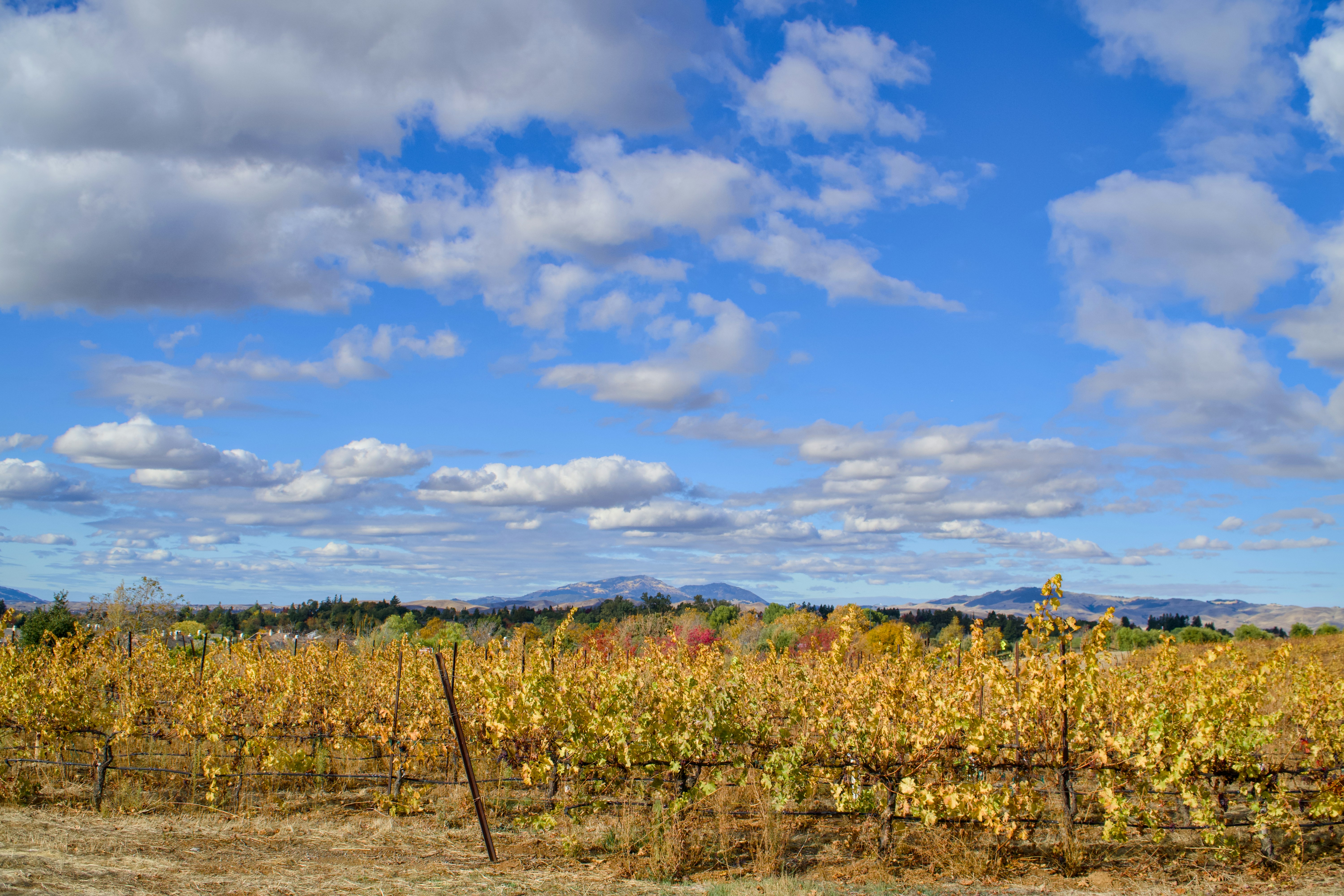 Photo by spencer_demera