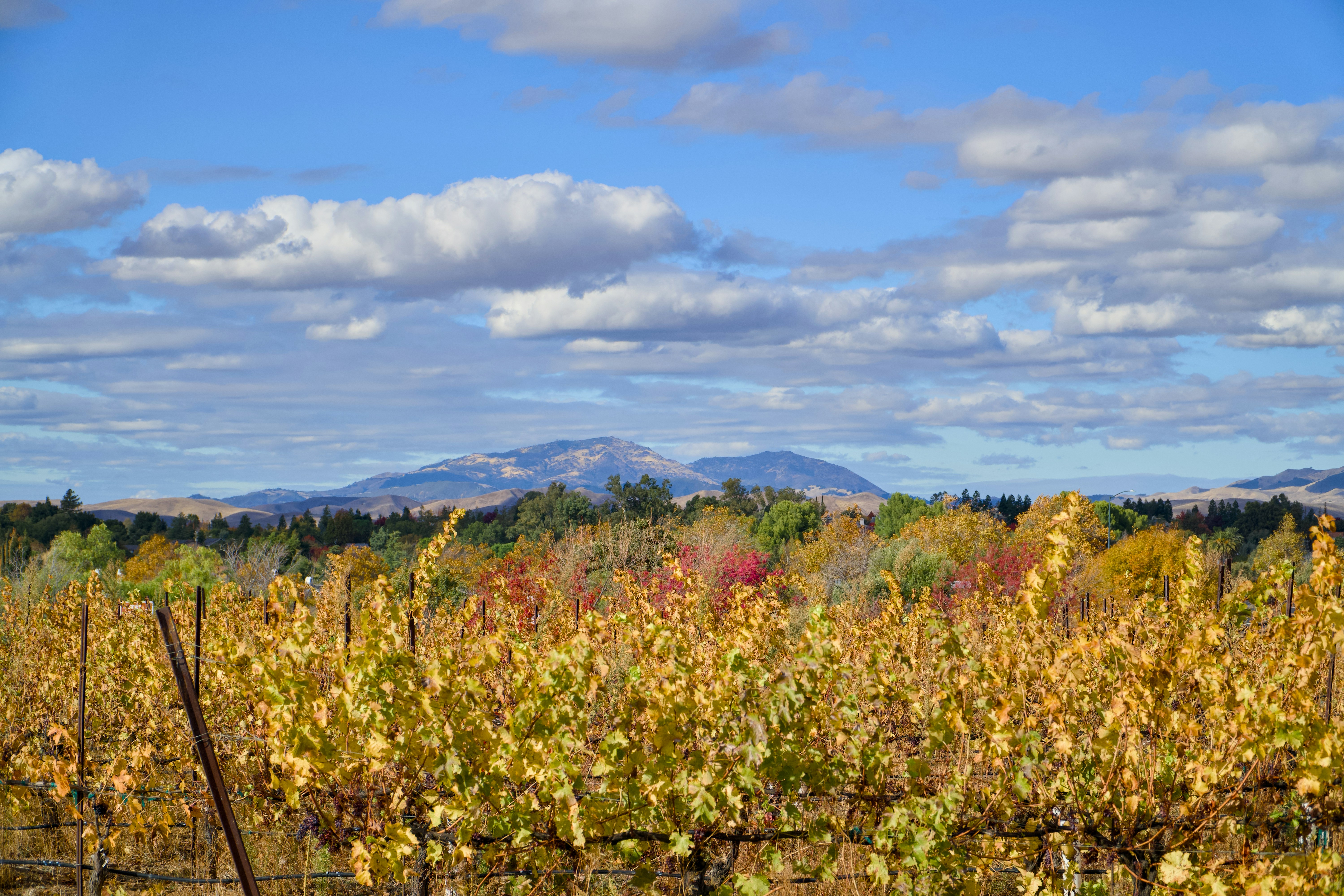 Photo by spencer_demera