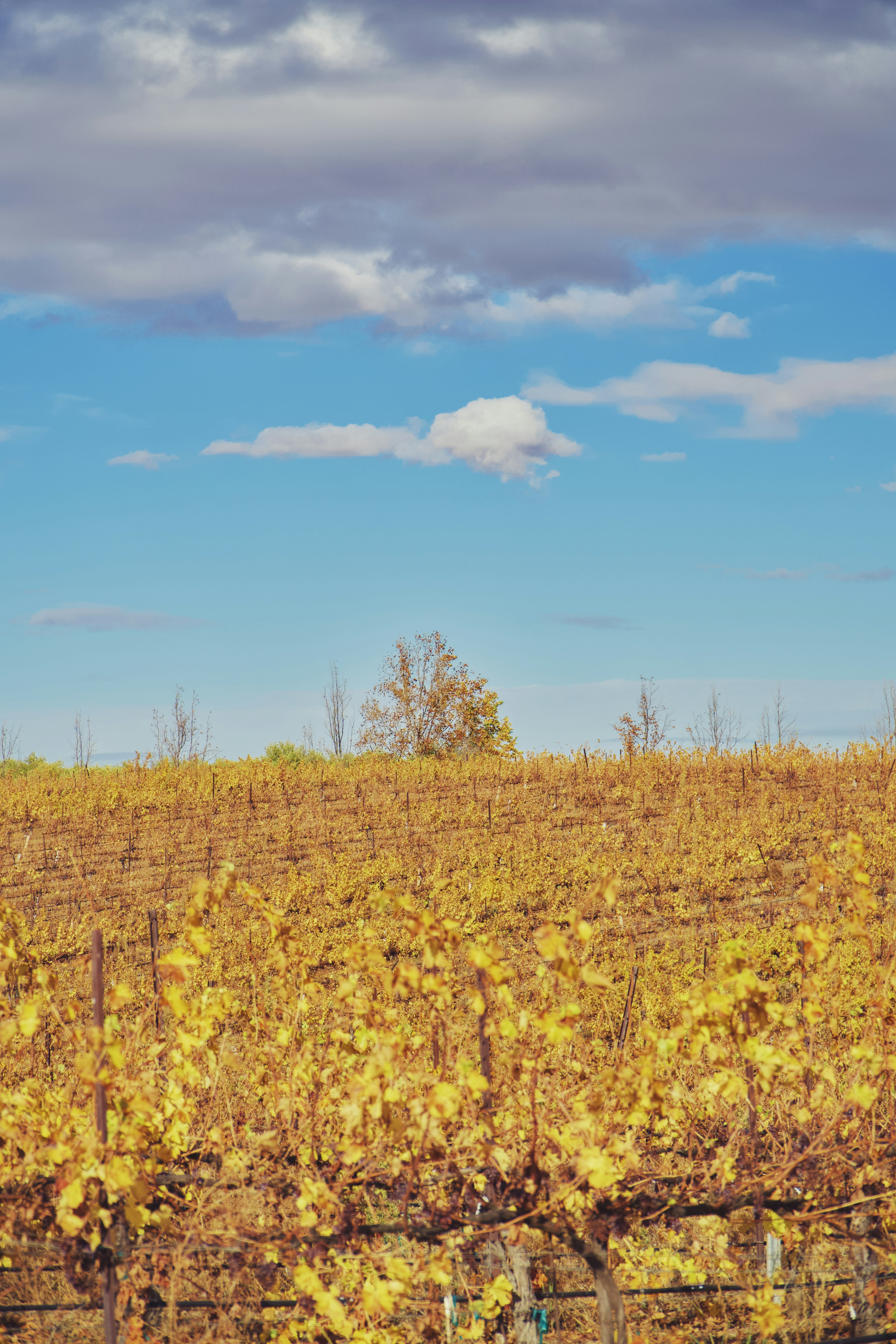 Photo by spencer_demera