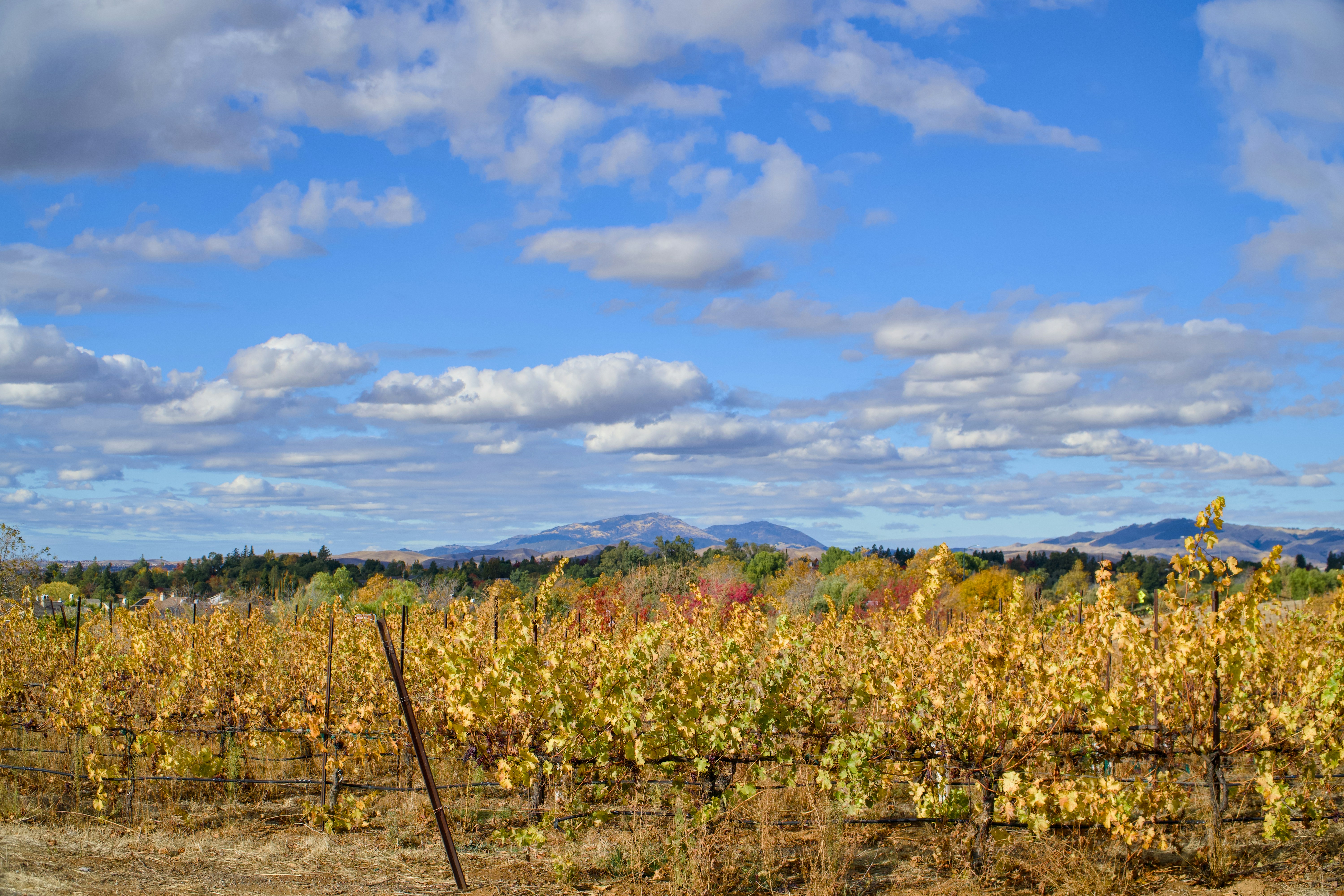 Photo by spencer_demera