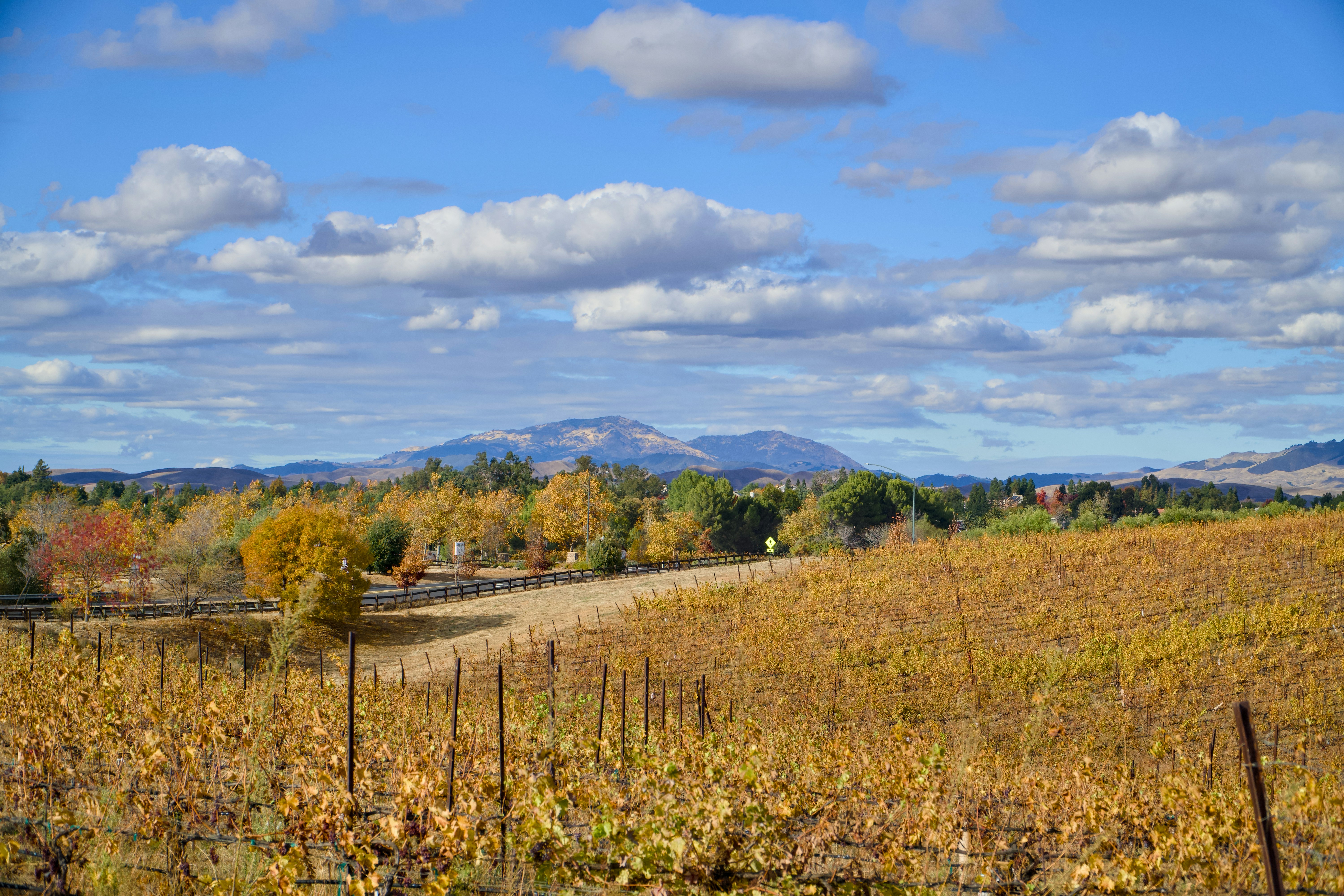 Photo by spencer_demera