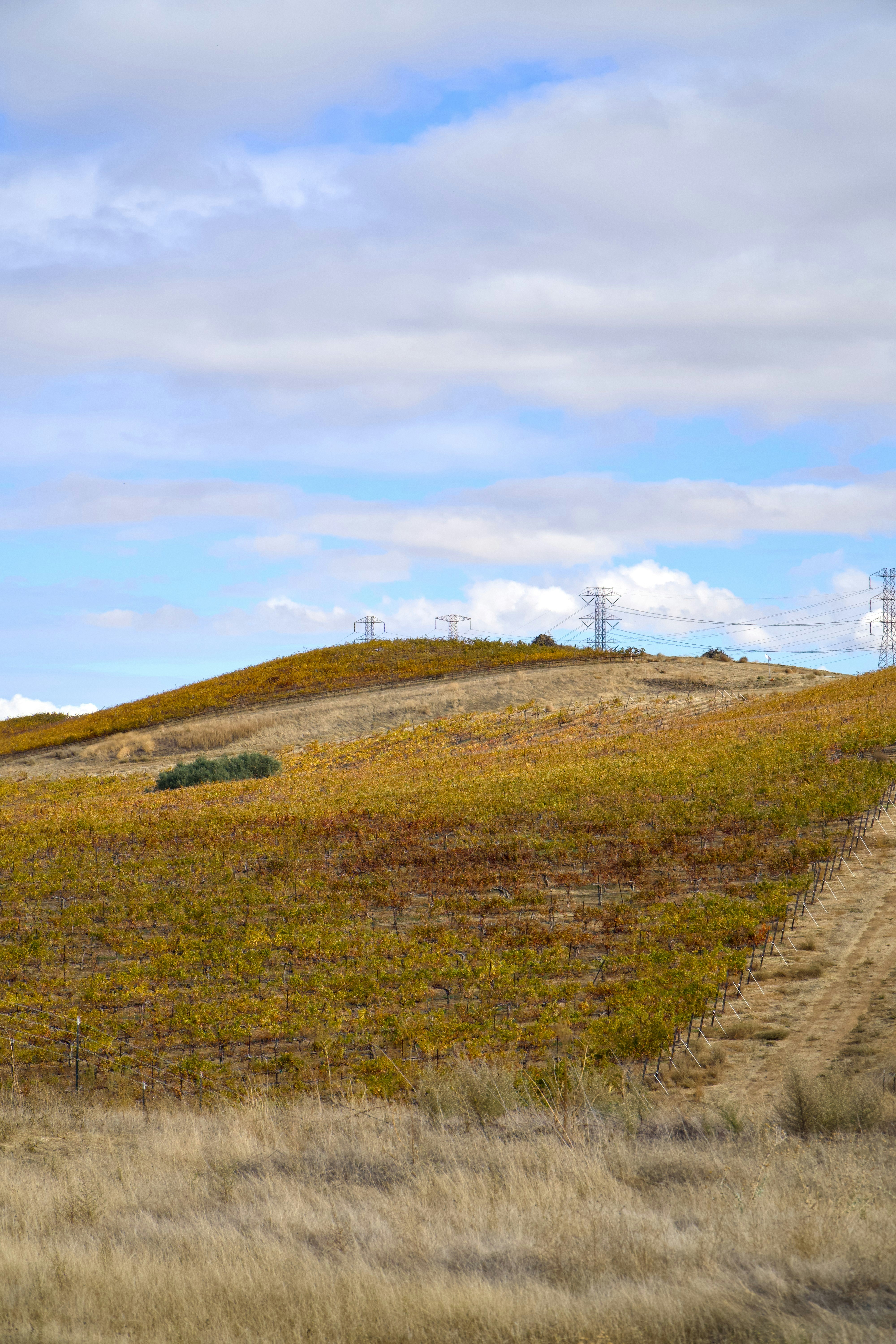 Photo by spencer_demera