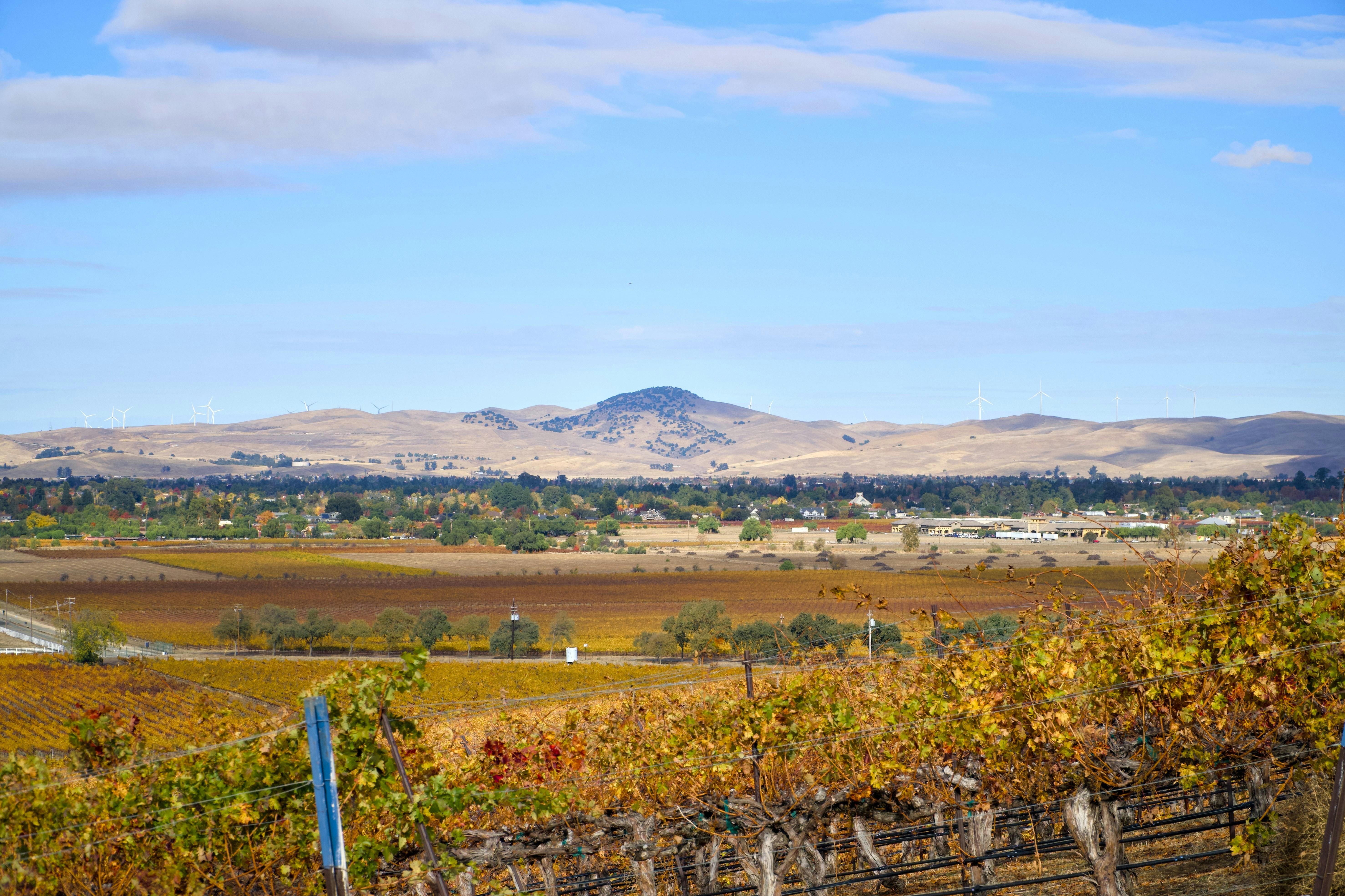 Photo by spencer_demera