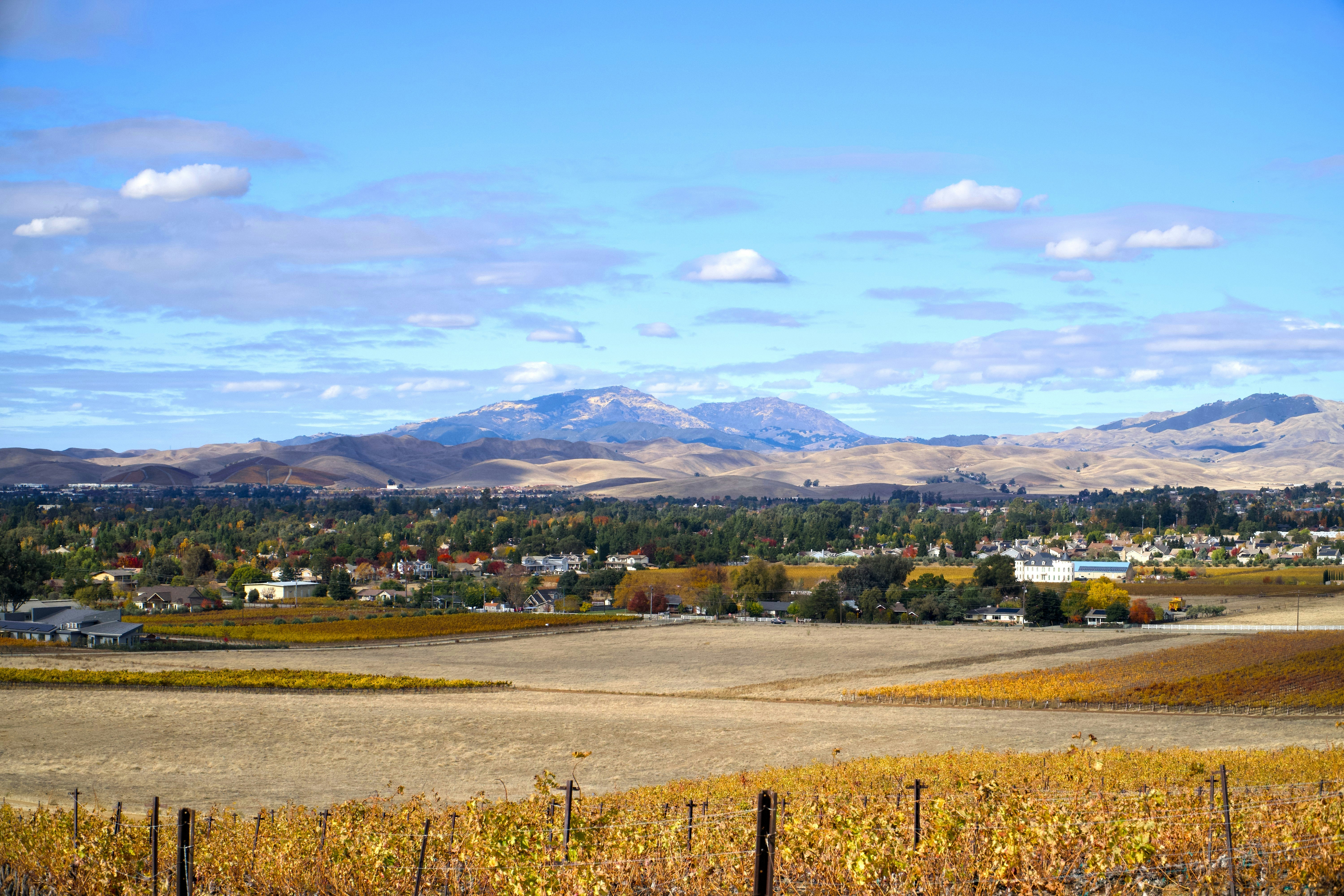 Photo by spencer_demera