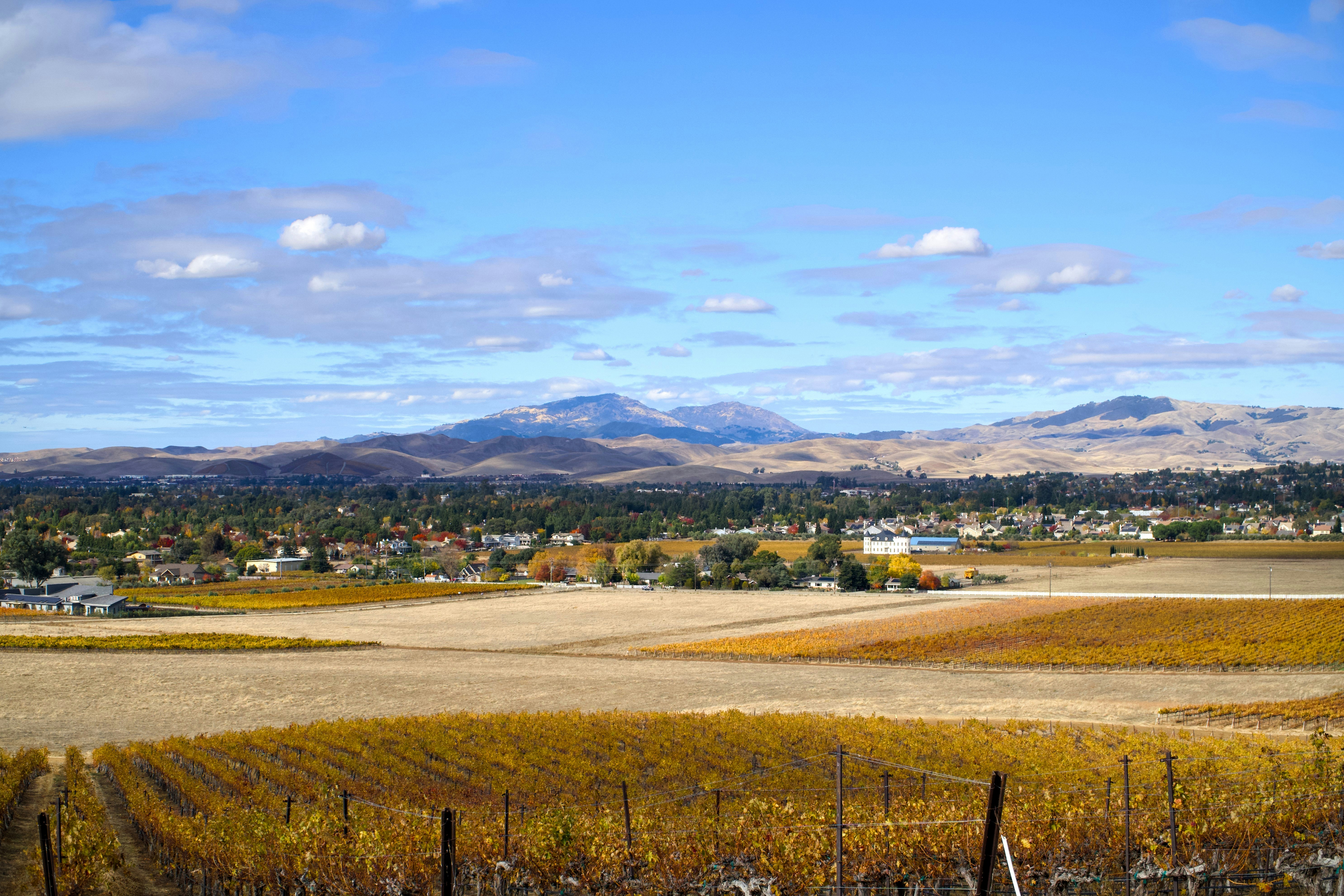 Photo by spencer_demera