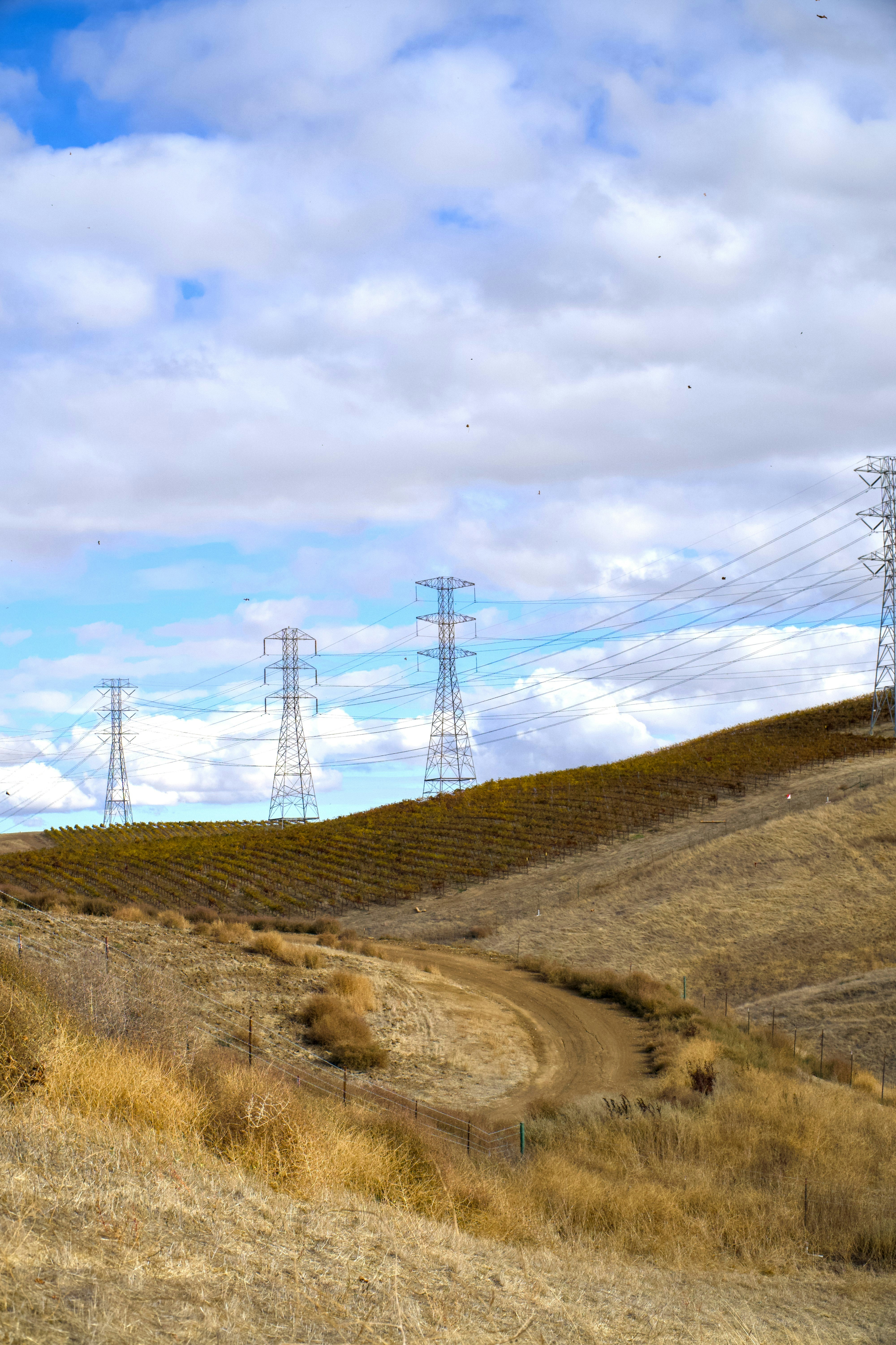 Photo by spencer_demera