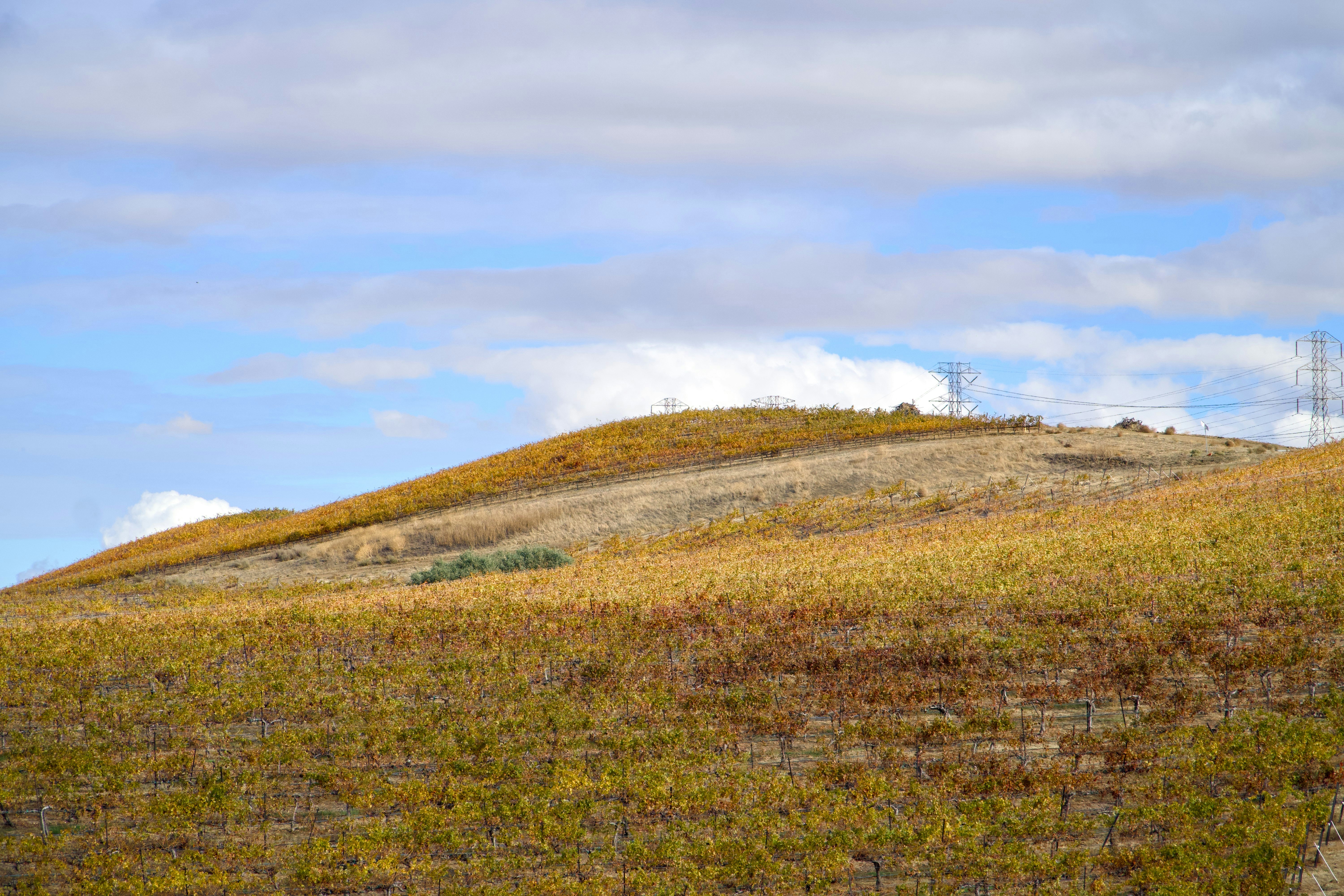 Photo by spencer_demera