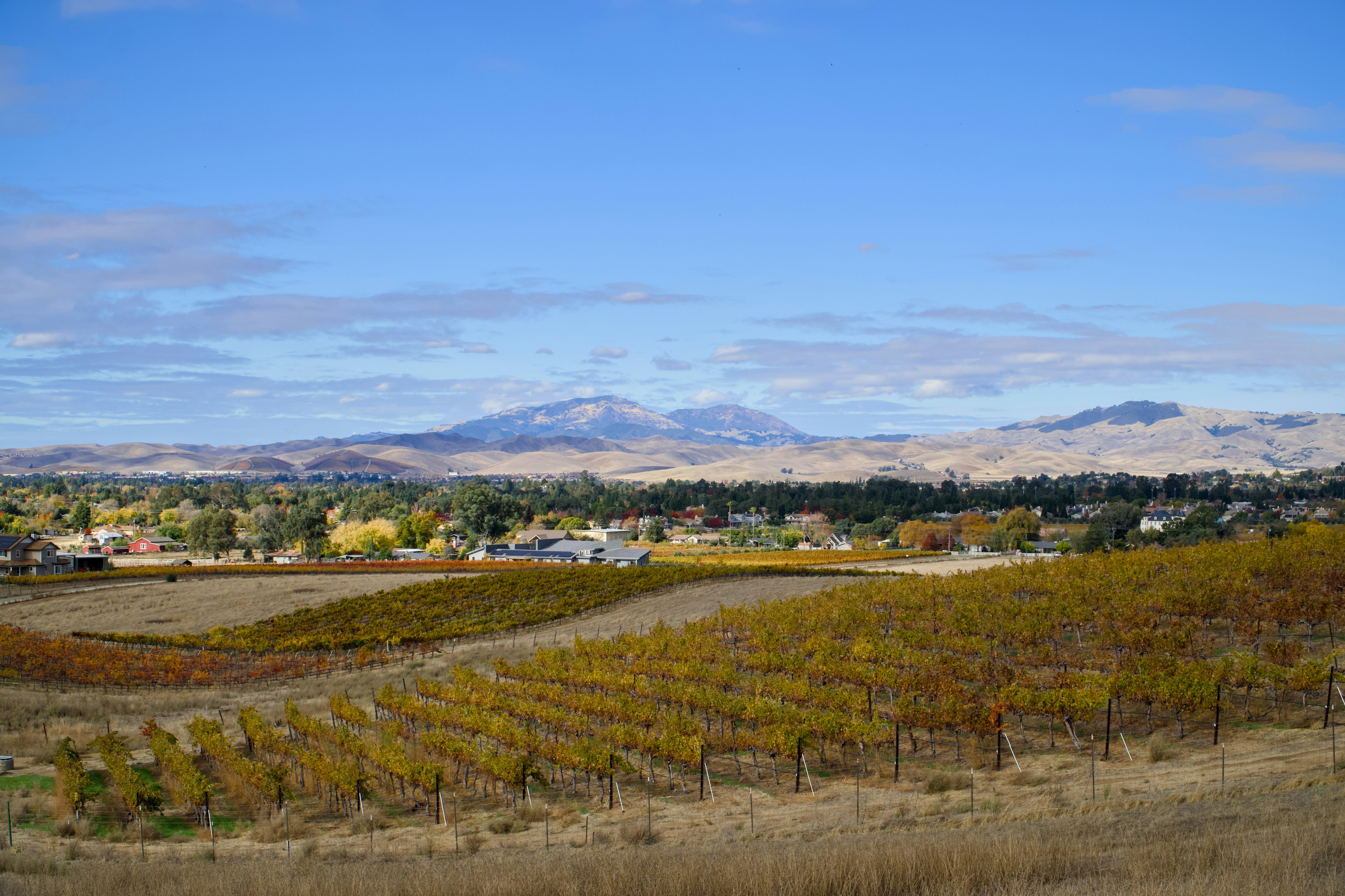 Photo by spencer_demera