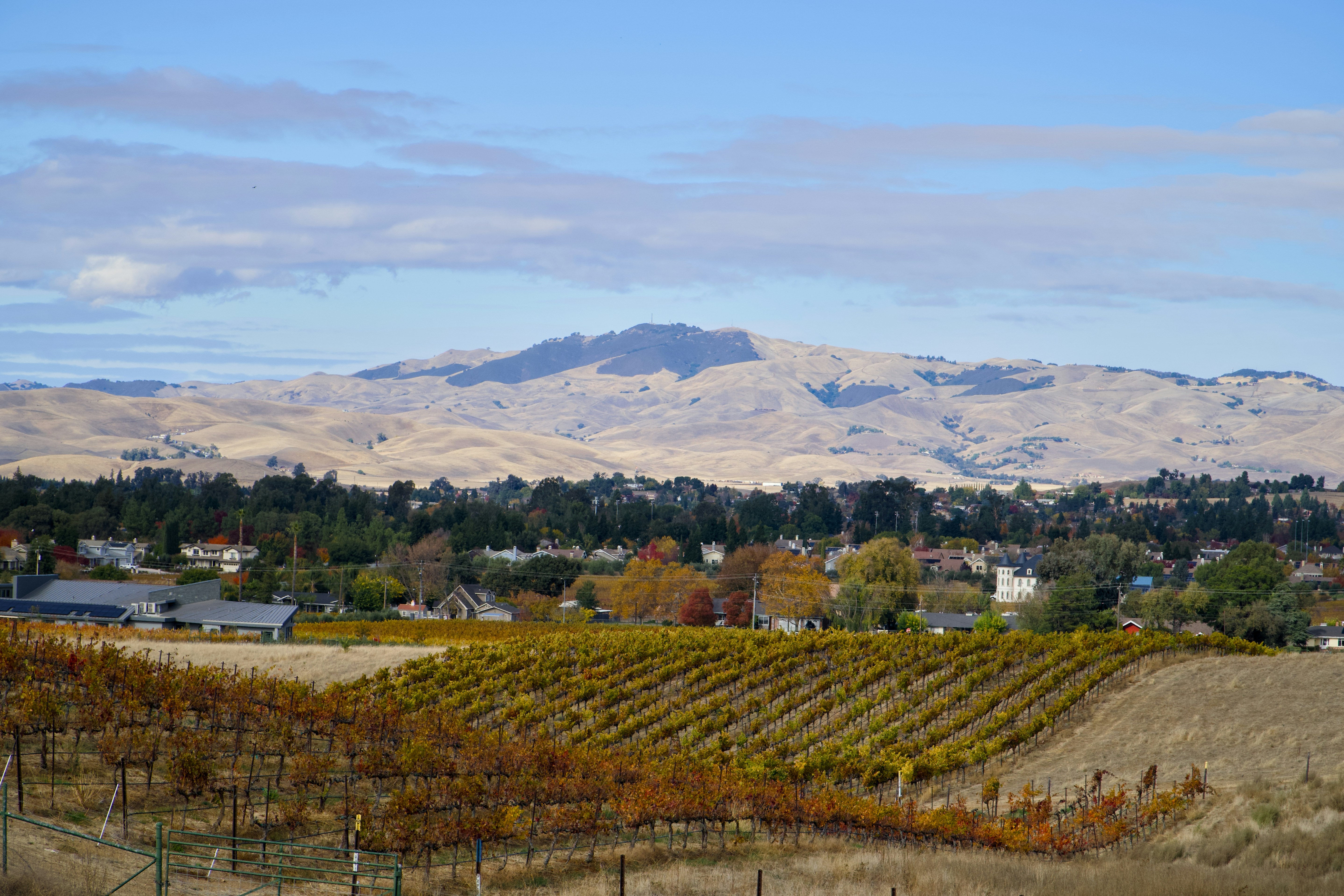 Photo by spencer_demera