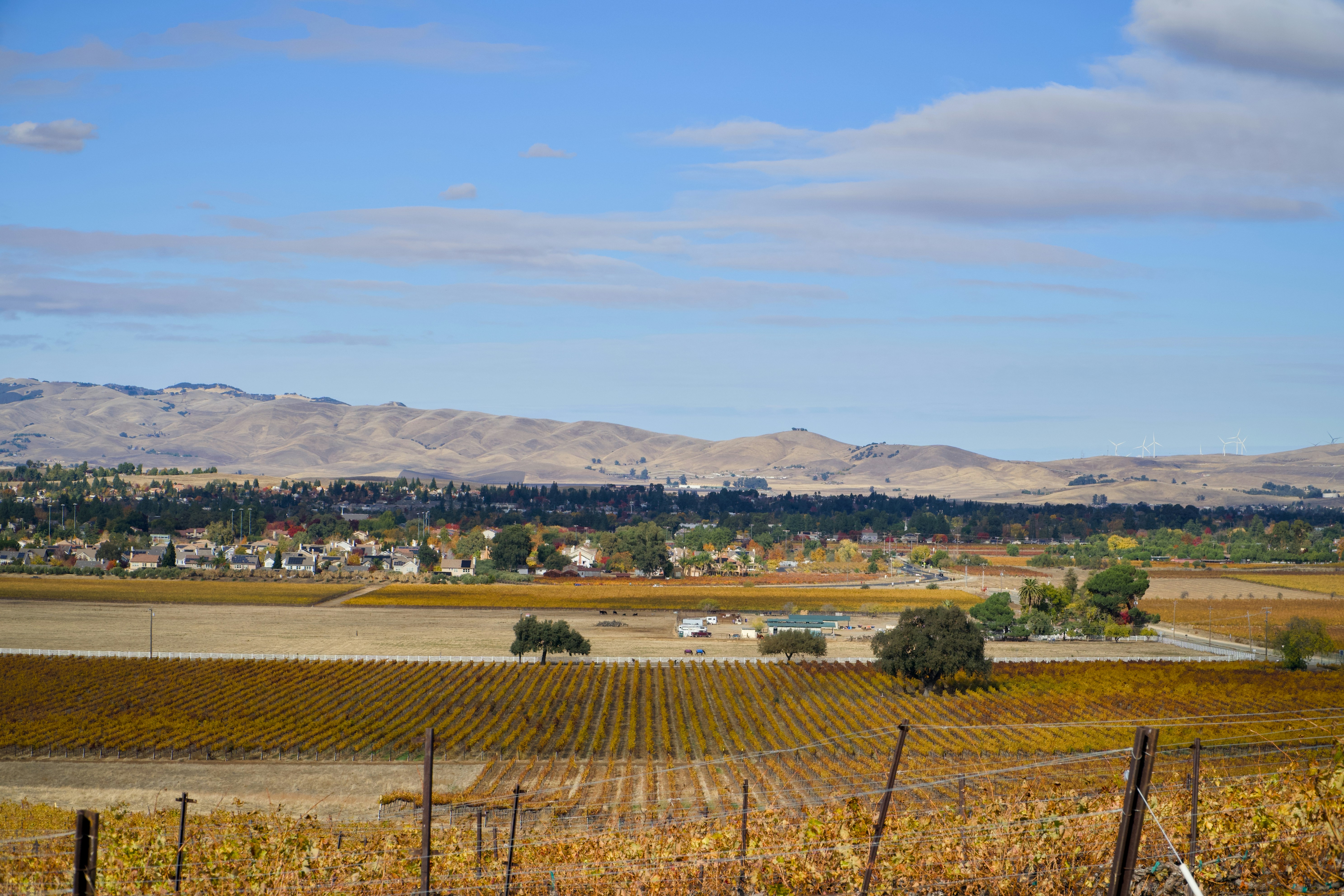 Photo by spencer_demera